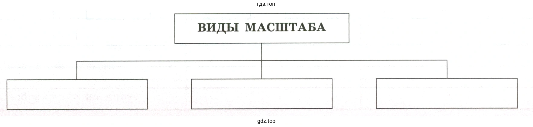 определение каждого вида масштаба. Как он изображается? Что показывает? Для чего используется?