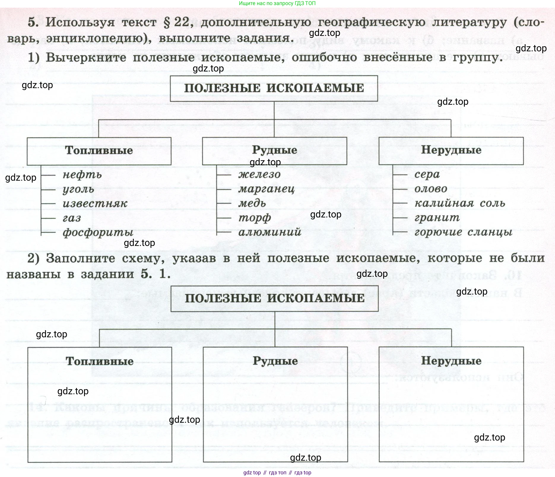 ГДЗ География, 5-6 класс Мой тренажёр, автор: Николина Вера Викторовна, издательство Просвещение, Москва, 2023, жёлтого цвета, страница 31, номер 5, Условие