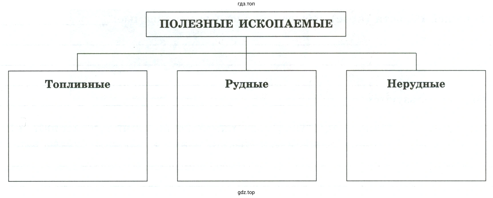 Заполнить схему, указав в ней полезные ископаемые