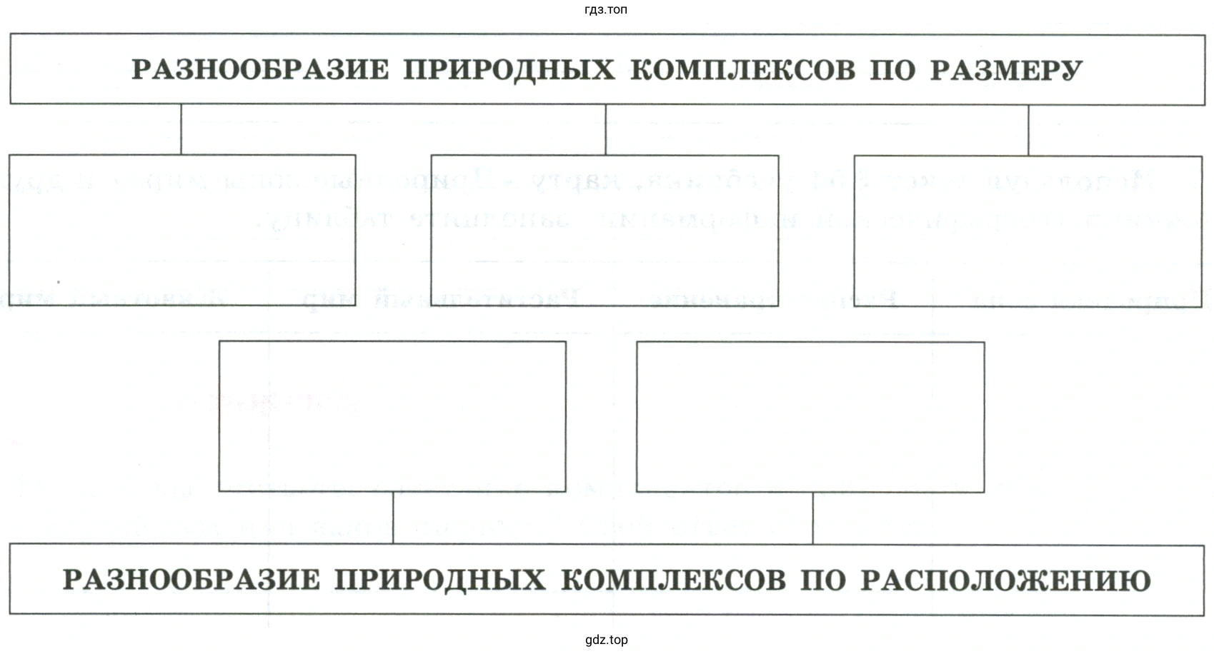 Заполнить схему «Разнообразие природных комплексов» примерами