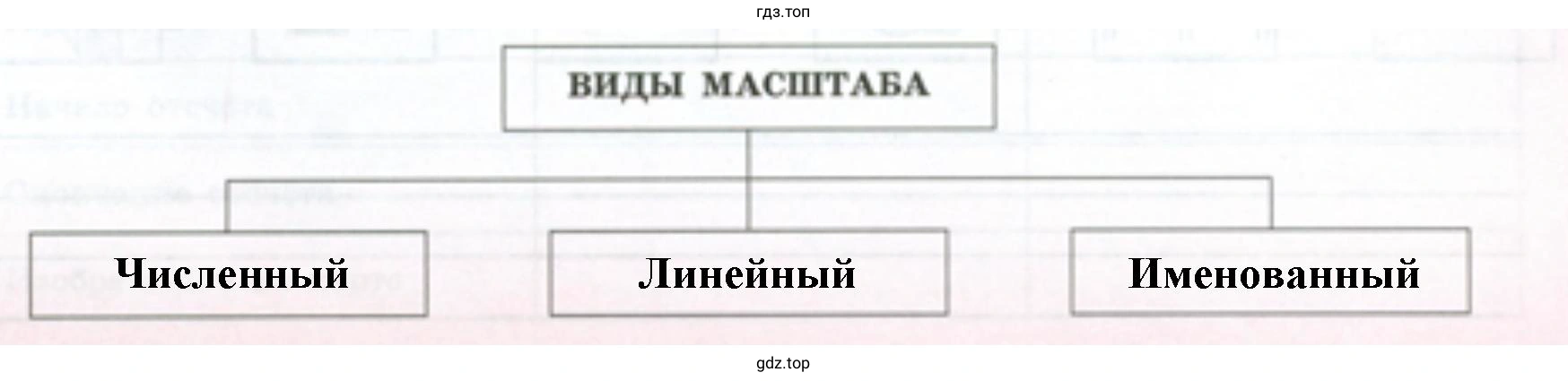 определение каждого вида масштаба. Как он изображается? Что показывает? Для чего используется?