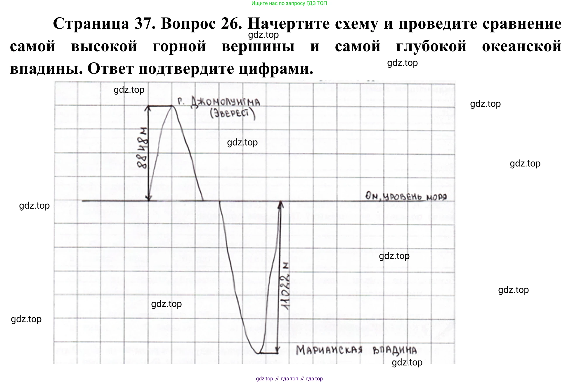 ГДЗ География, 5-6 класс Мой тренажёр, автор: Николина Вера Викторовна, издательство Просвещение, Москва, 2023, жёлтого цвета, страница 37, номер 26, Решение