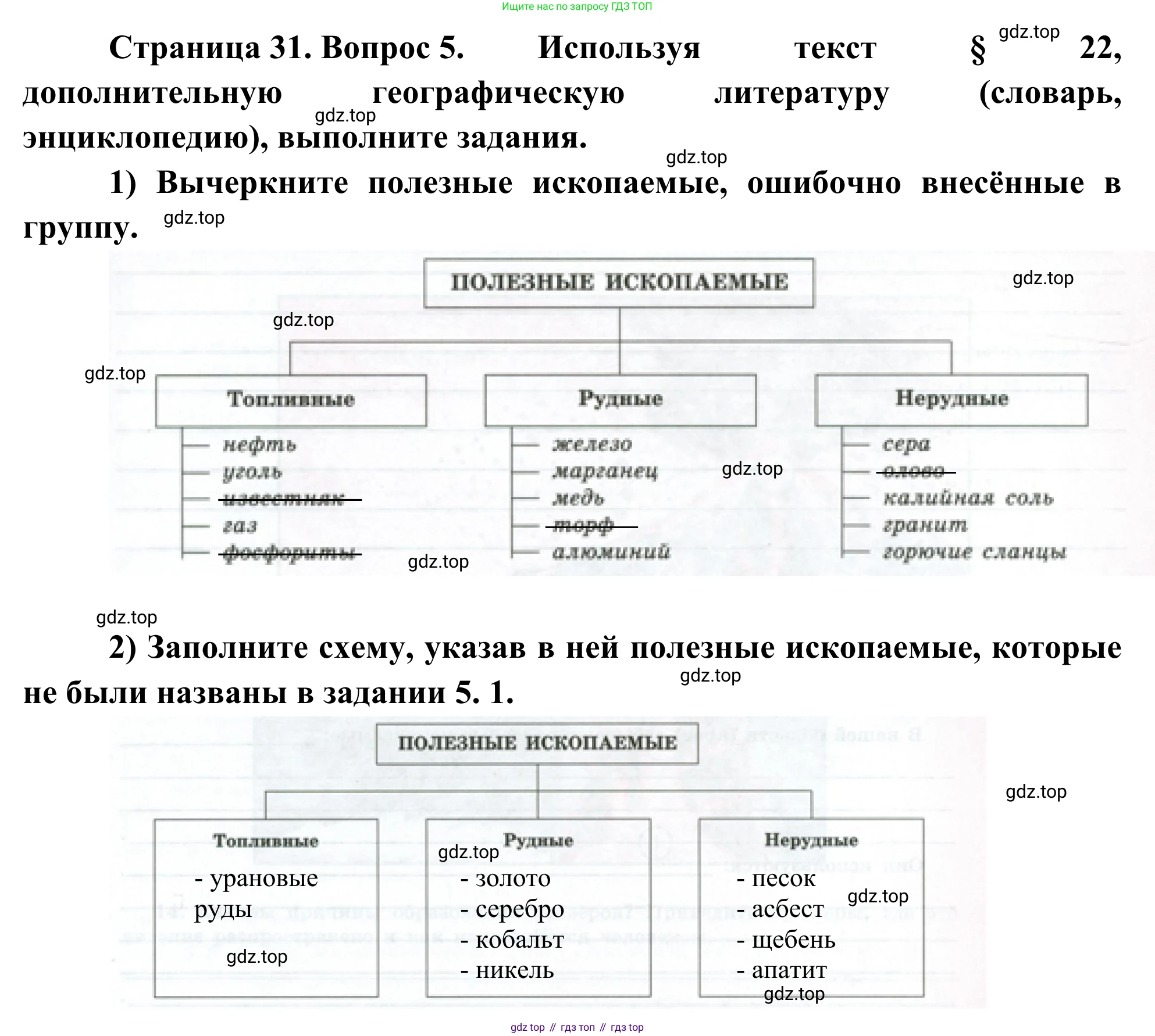 ГДЗ География, 5-6 класс Мой тренажёр, автор: Николина Вера Викторовна, издательство Просвещение, Москва, 2023, жёлтого цвета, страница 31, номер 5, Решение