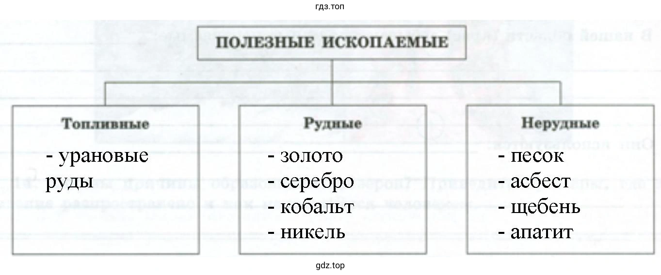 Заполнить схему, указав в ней полезные ископаемые