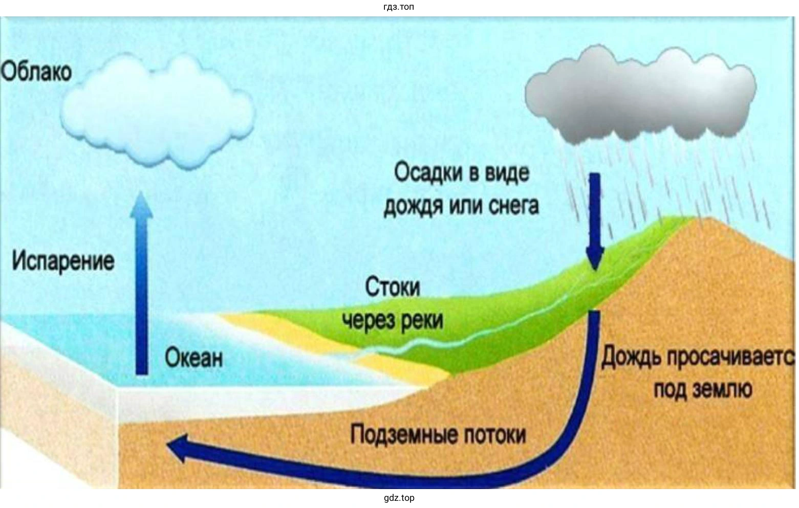 Вода испарившаяся с поверхности океана и унесенная в виде облаков на сушу