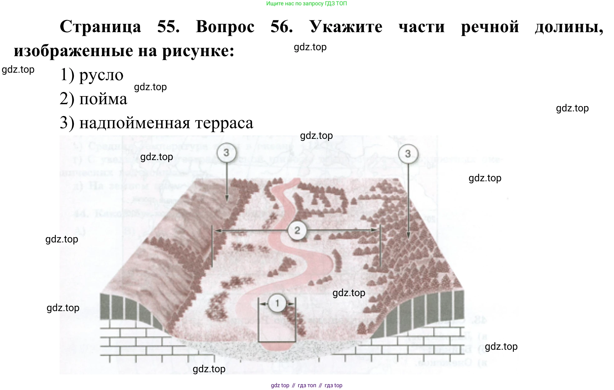 ГДЗ География, 5-6 класс Мой тренажёр, автор: Николина Вера Викторовна, издательство Просвещение, Москва, 2023, жёлтого цвета, страница 56, номер 51, Решение