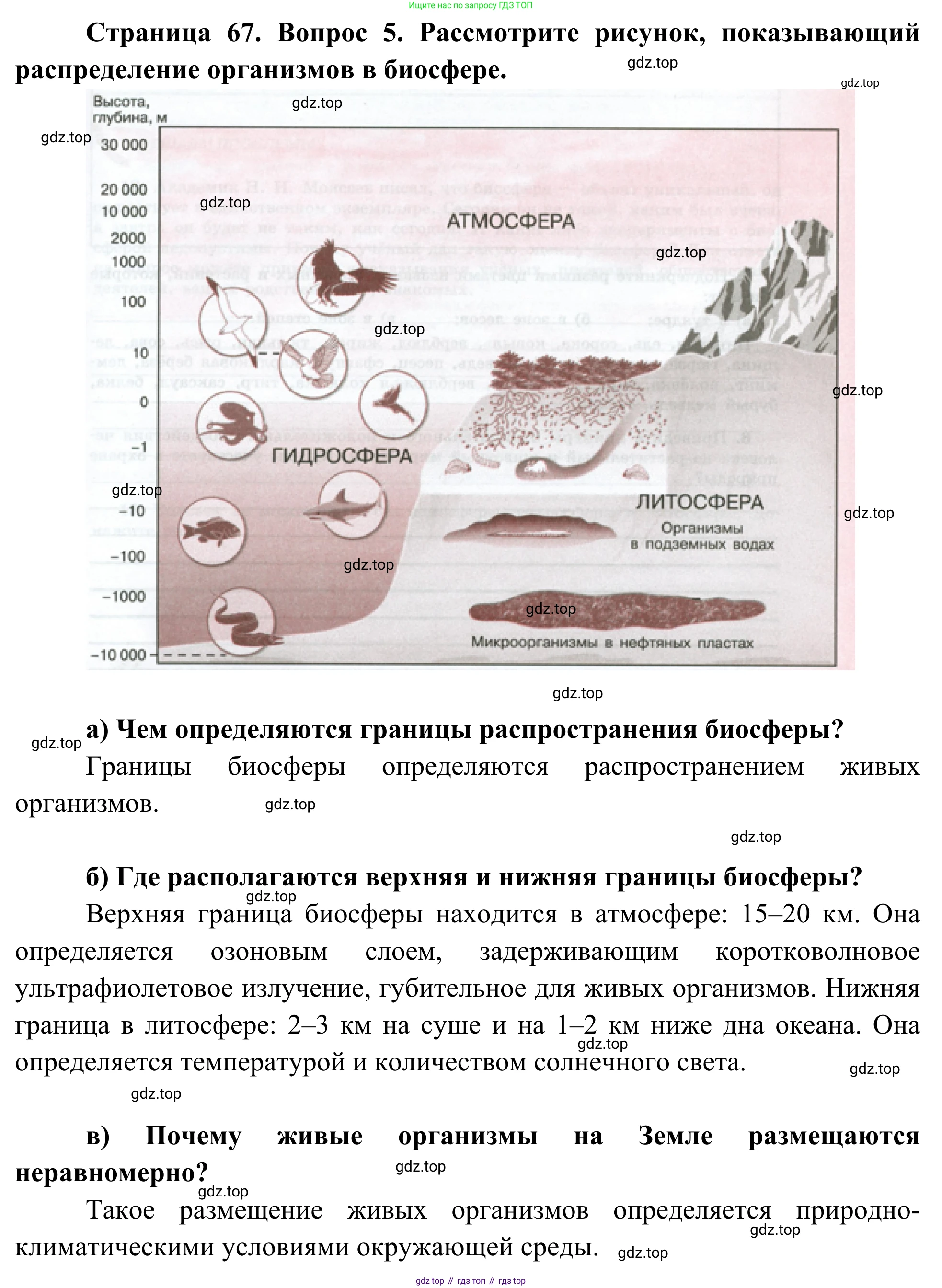 ГДЗ География, 5-6 класс Мой тренажёр, автор: Николина Вера Викторовна, издательство Просвещение, Москва, 2023, жёлтого цвета, страница 67, номер 5, Решение