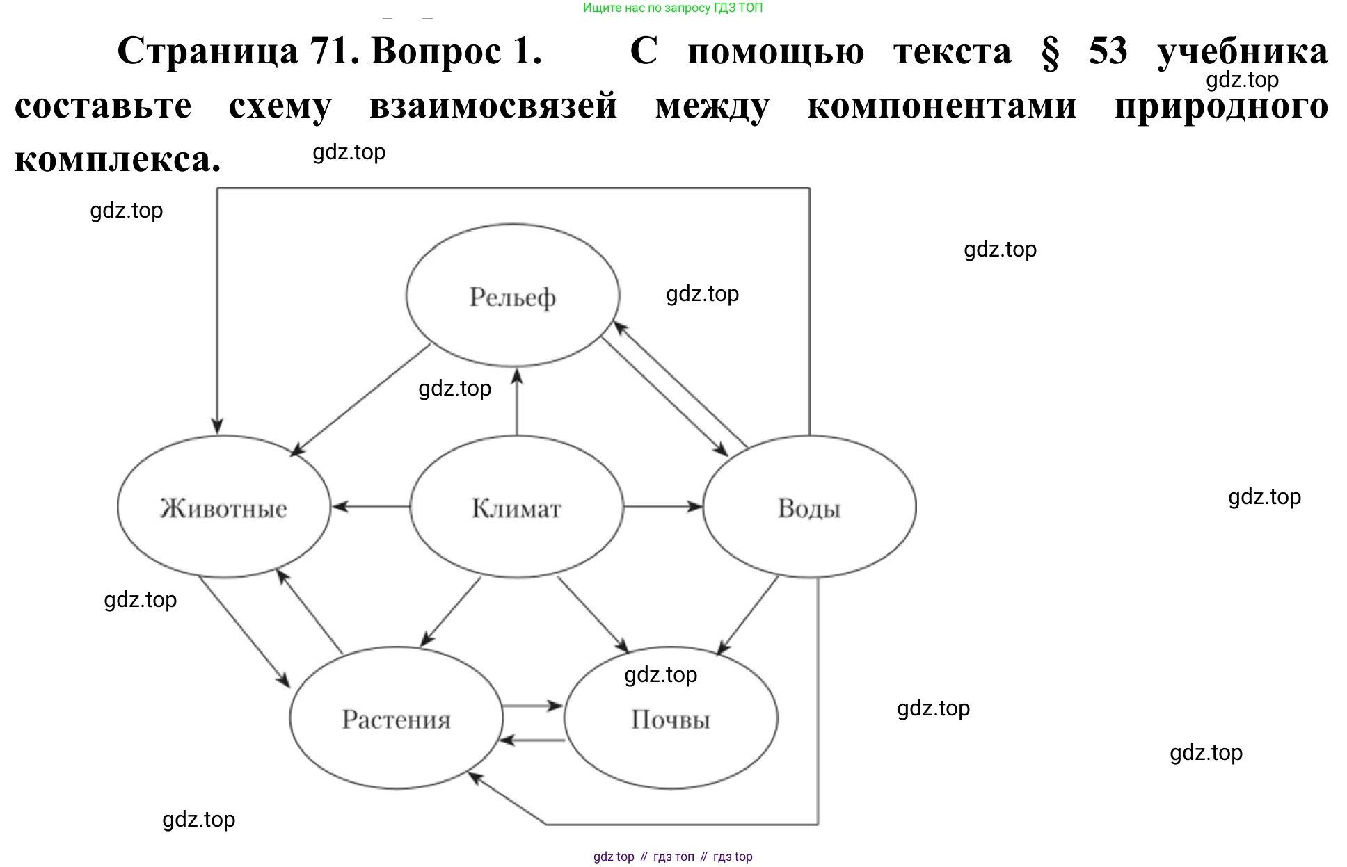 ГДЗ География, 5-6 класс Мой тренажёр, автор: Николина Вера Викторовна, издательство Просвещение, Москва, 2023, жёлтого цвета, страница 71, номер 1, Решение
