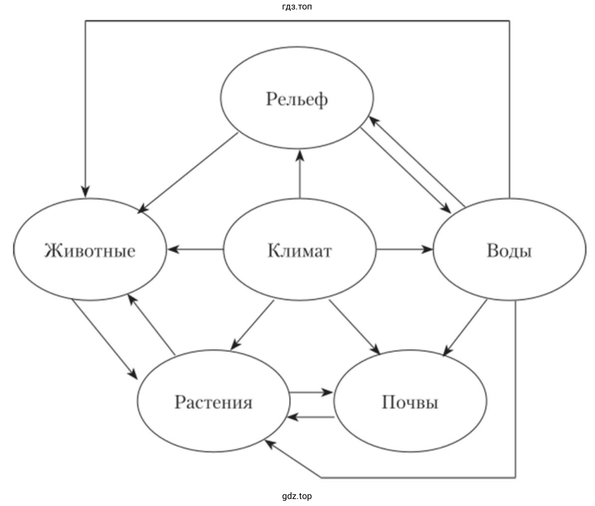 составьте схему взаимосвязей между компонентами природного комплекса.