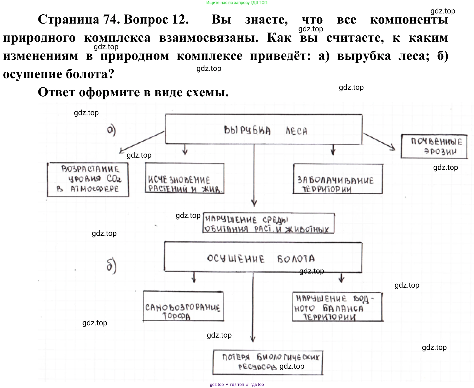 ГДЗ География, 5-6 класс Мой тренажёр, автор: Николина Вера Викторовна, издательство Просвещение, Москва, 2023, жёлтого цвета, страница 74, номер 12, Решение