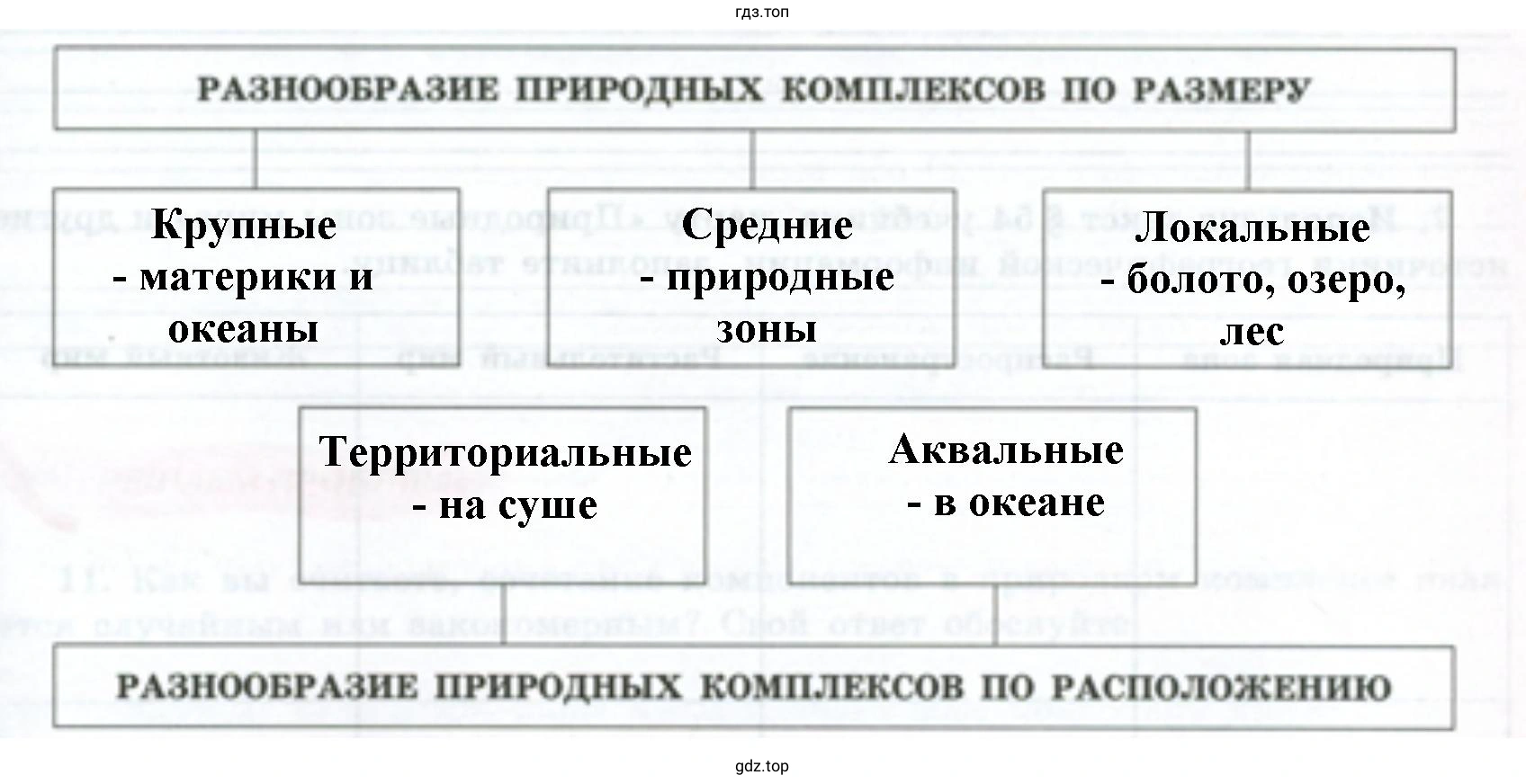Заполнить схему «Разнообразие природных комплексов» примерами