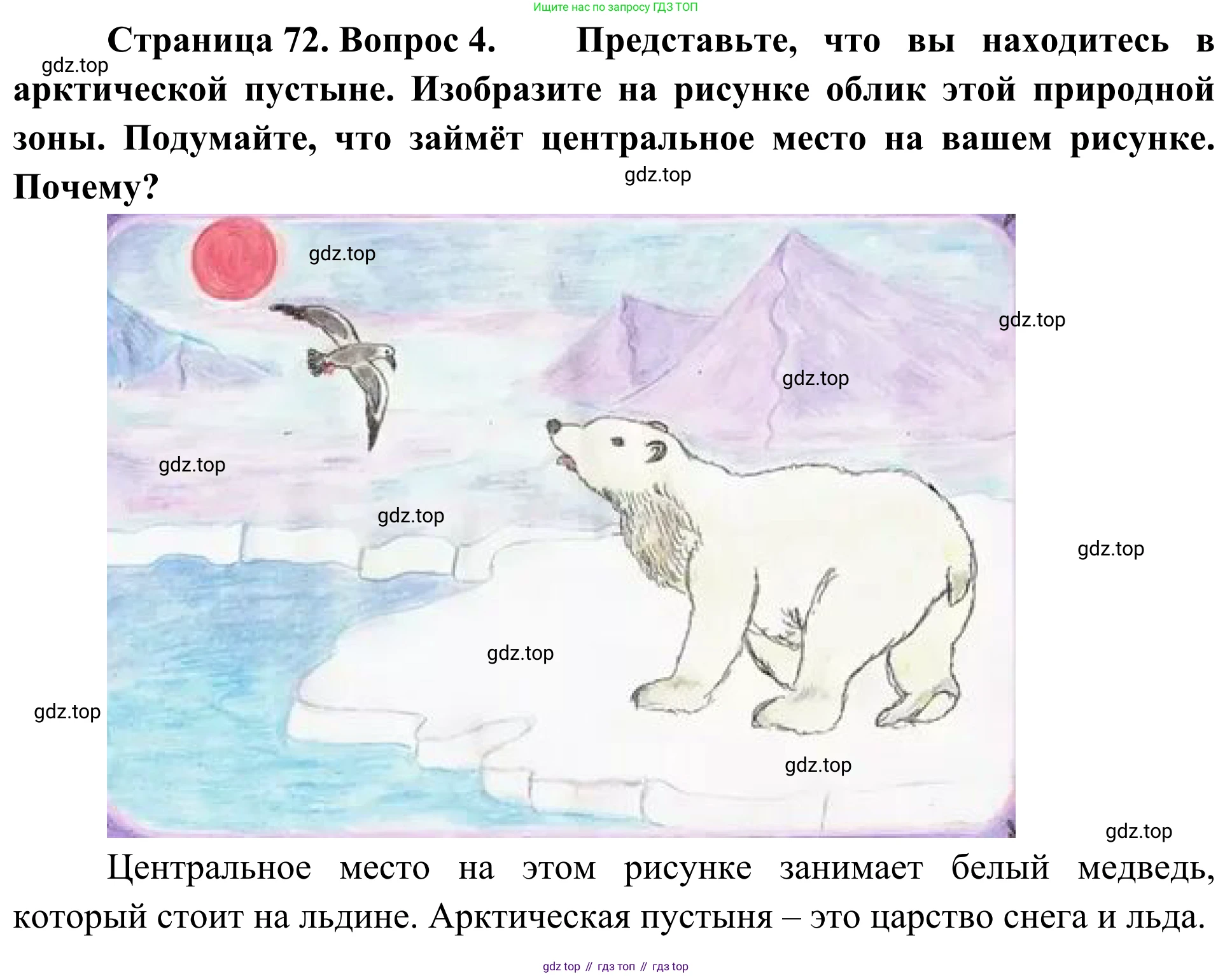 ГДЗ География, 5-6 класс Мой тренажёр, автор: Николина Вера Викторовна, издательство Просвещение, Москва, 2023, жёлтого цвета, страница 72, номер 4, Решение