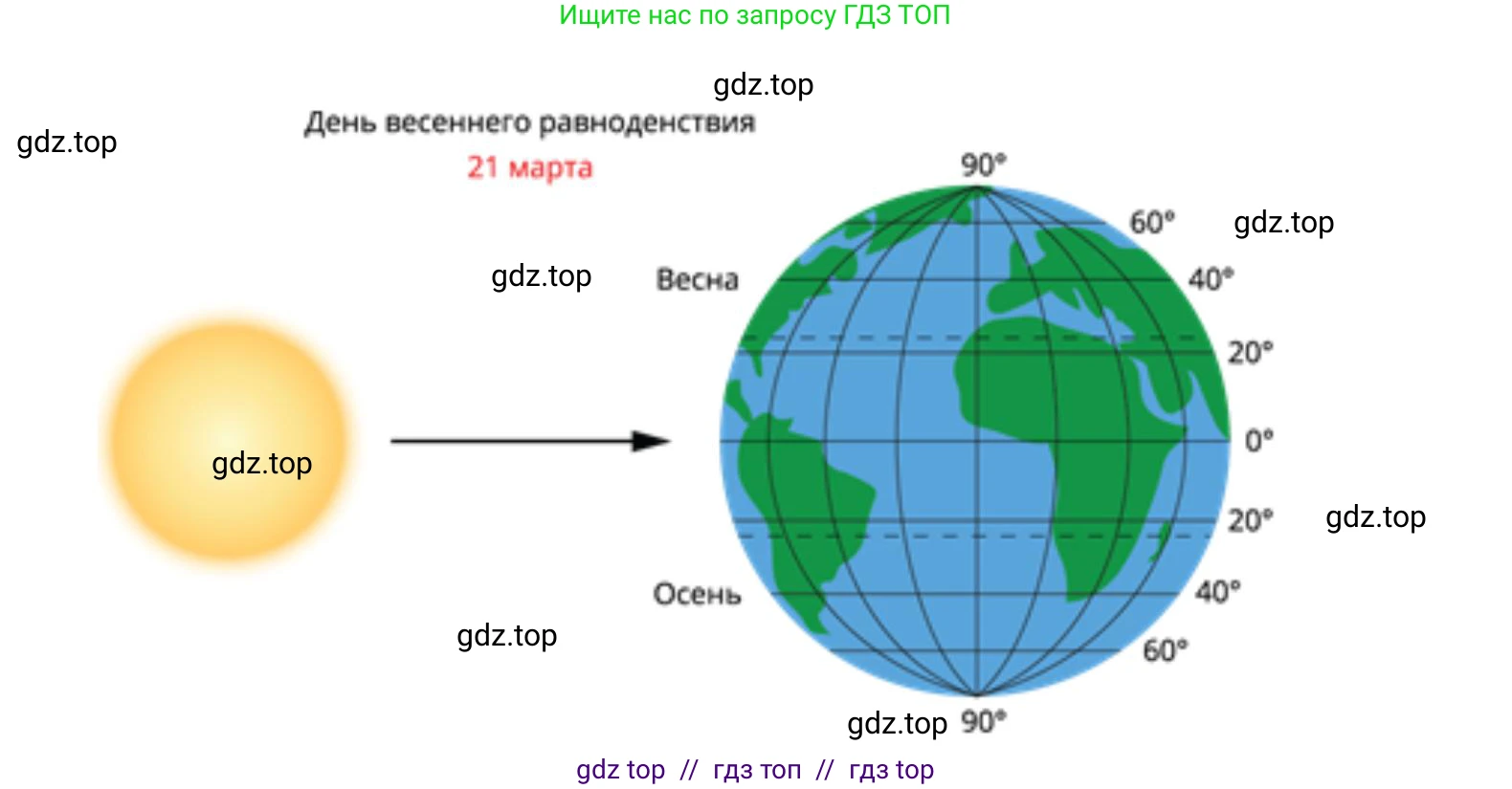 География, 5-6 класс Мой тренажёр, автор: Николина Вера Викторовна, издательство Просвещение, Москва, 2023, жёлтого цвета, страница 16, номер 24, Решение 2 (продолжение 2)
