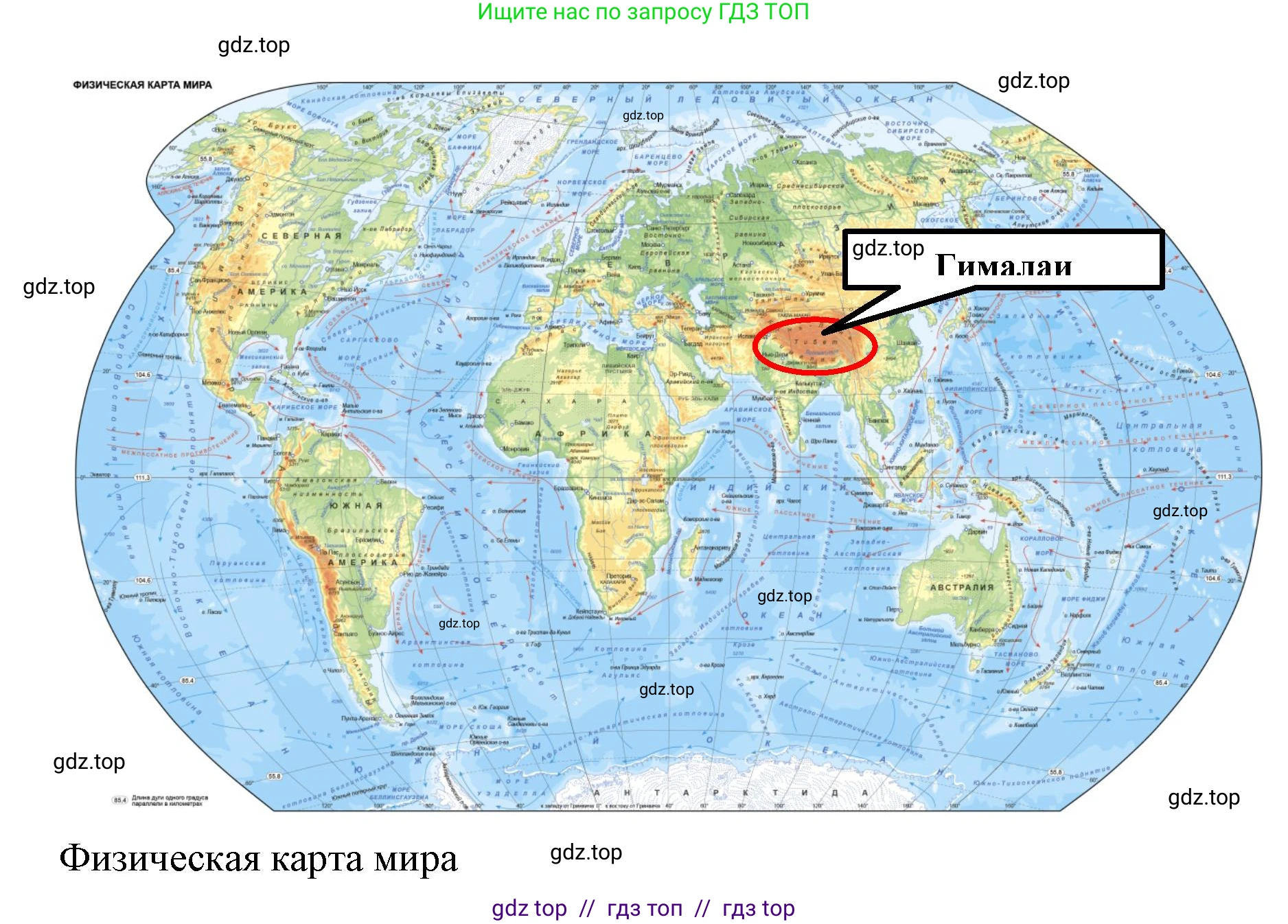 География, 5-6 класс Мой тренажёр, автор: Николина Вера Викторовна, издательство Просвещение, Москва, 2023, жёлтого цвета, страница 35, номер 20, Решение 2 (продолжение 2)