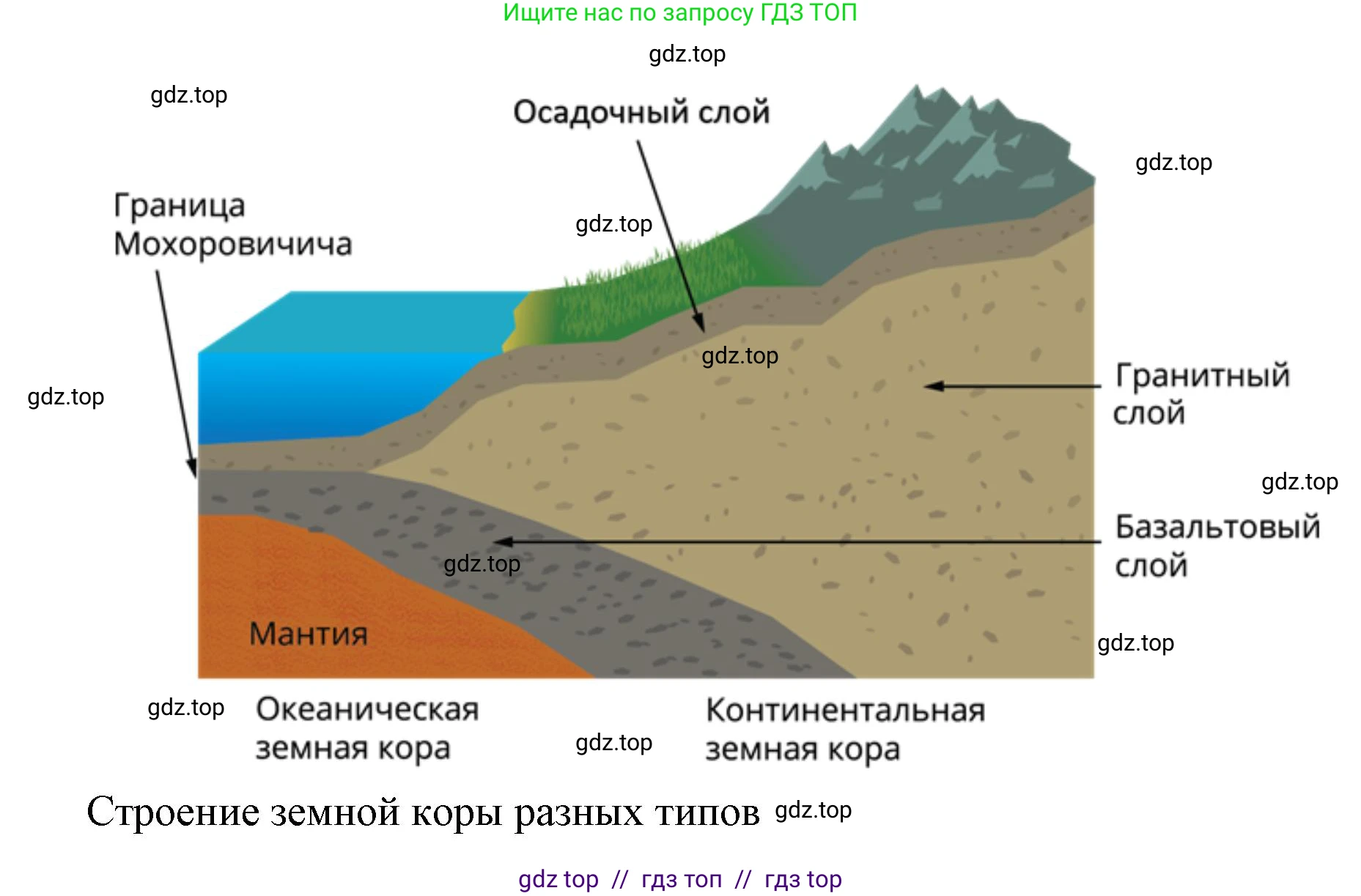 География, 5-6 класс Мой тренажёр, автор: Николина Вера Викторовна, издательство Просвещение, Москва, 2023, жёлтого цвета, страница 41, номер 48, Решение 2 (продолжение 2)