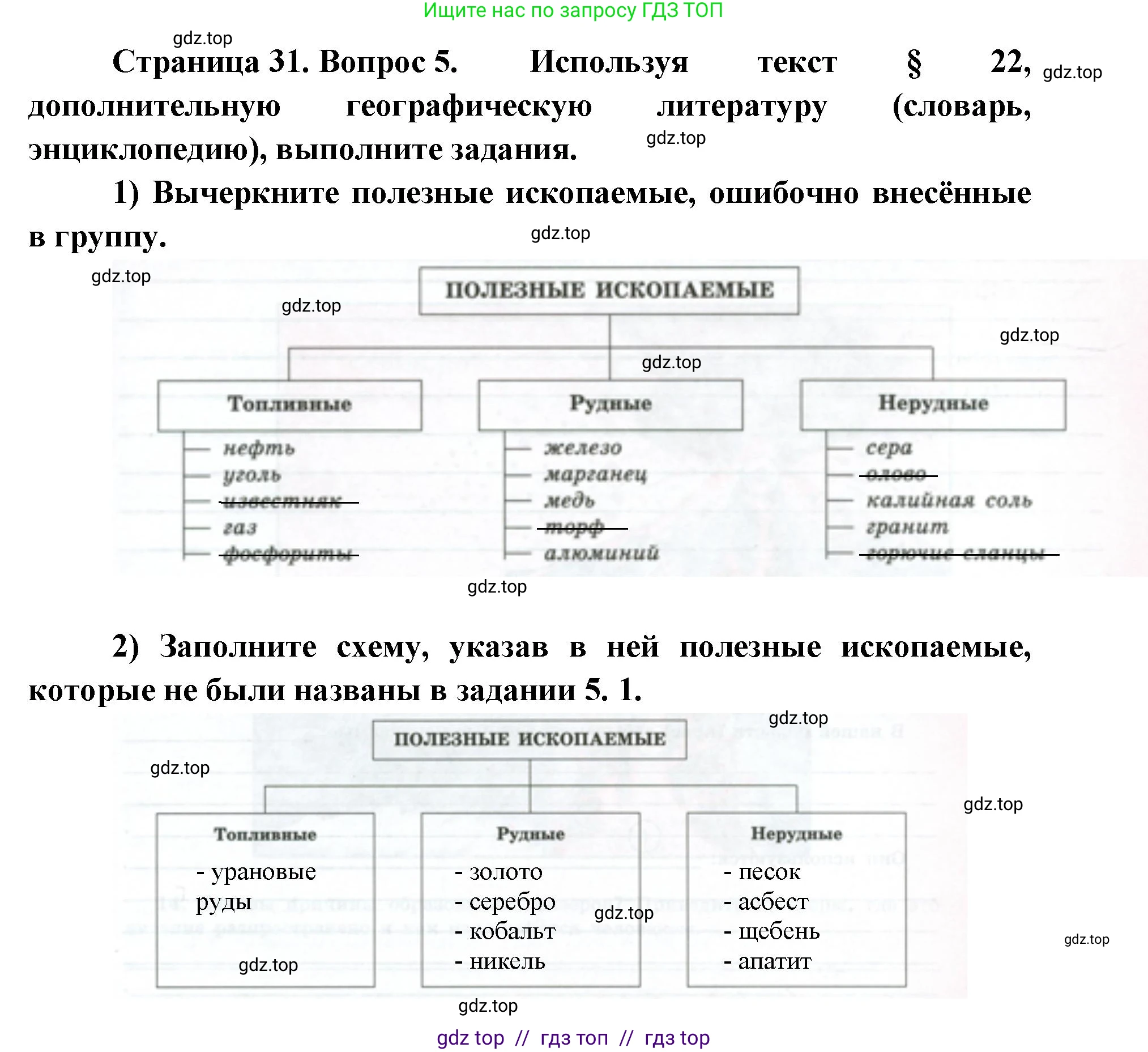 География, 5-6 класс Мой тренажёр, автор: Николина Вера Викторовна, издательство Просвещение, Москва, 2023, жёлтого цвета, страница 31, номер 5, Решение 2