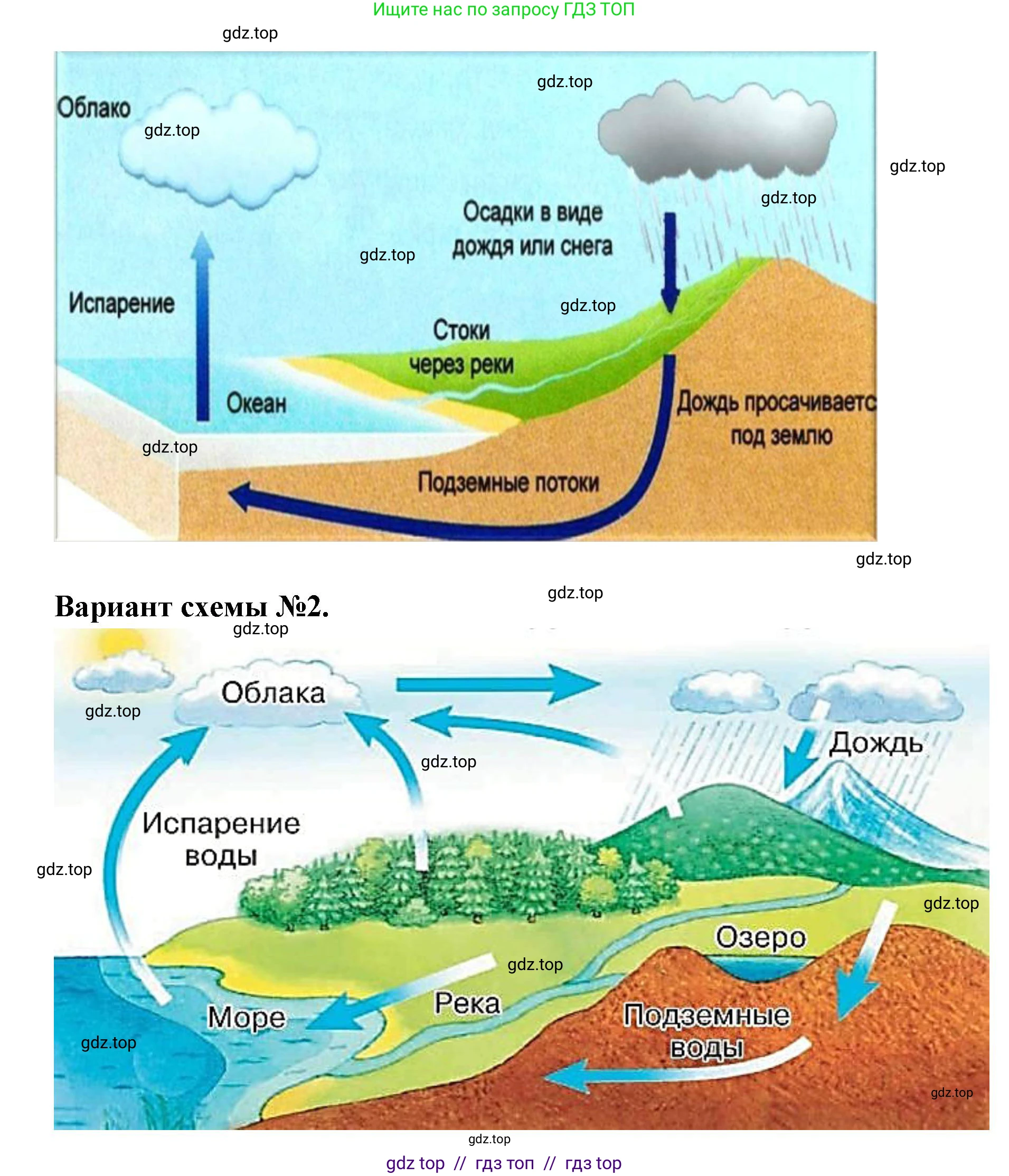 География, 5-6 класс Мой тренажёр, автор: Николина Вера Викторовна, издательство Просвещение, Москва, 2023, жёлтого цвета, страница 44, номер 5, Решение 2 (продолжение 2)