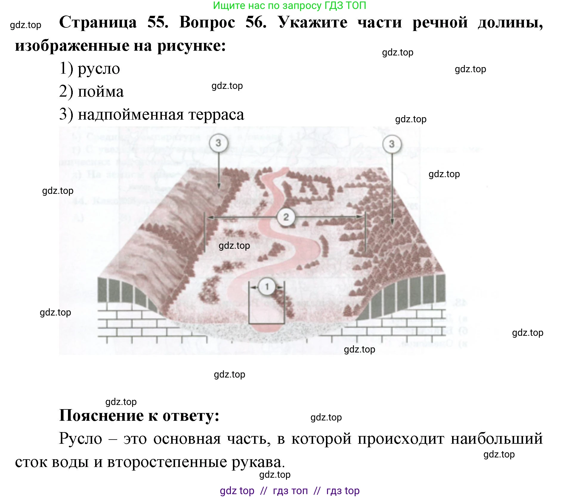 География, 5-6 класс Мой тренажёр, автор: Николина Вера Викторовна, издательство Просвещение, Москва, 2023, жёлтого цвета, страница 56, номер 51, Решение 2