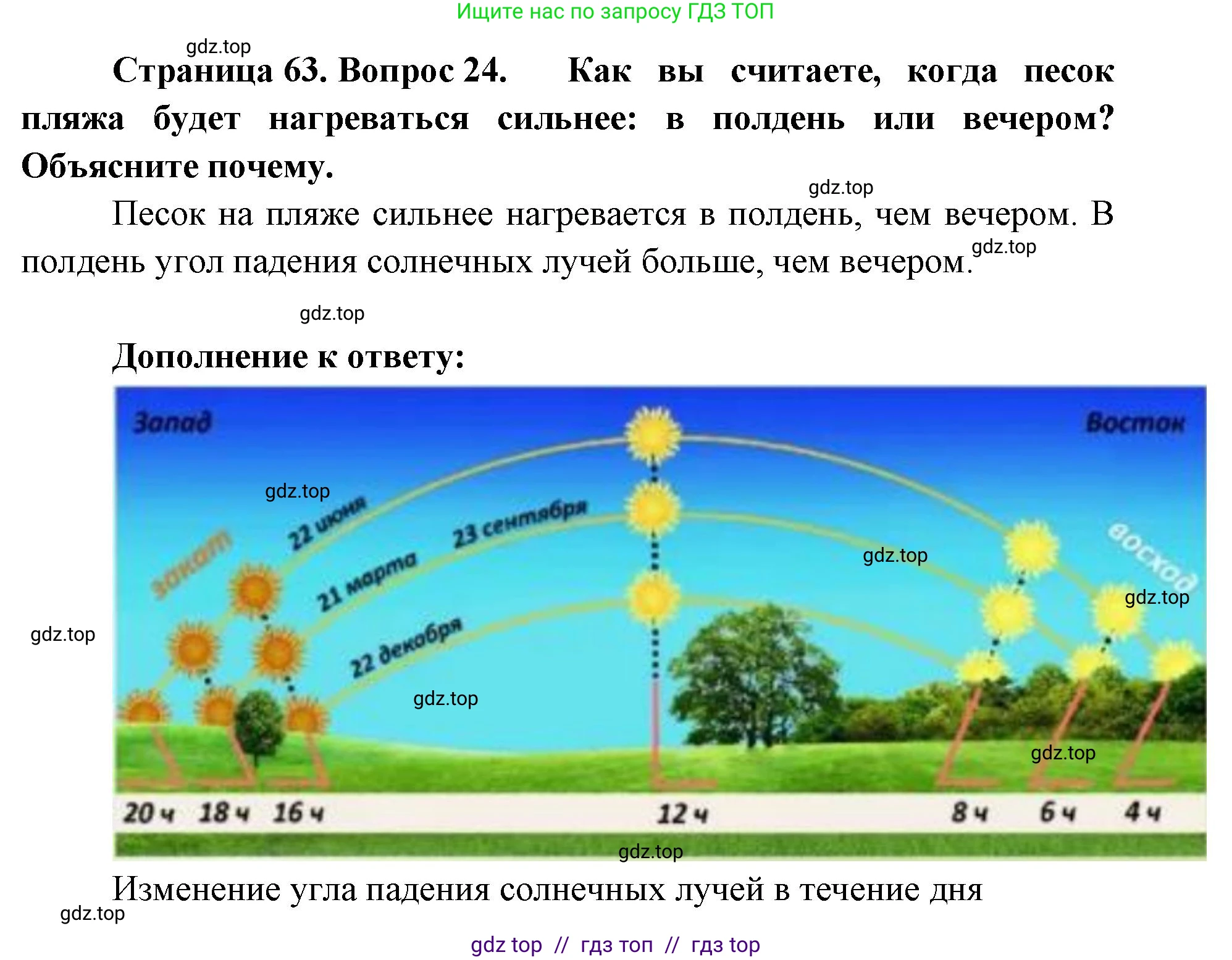 География, 5-6 класс Мой тренажёр, автор: Николина Вера Викторовна, издательство Просвещение, Москва, 2023, жёлтого цвета, страница 63, номер 24, Решение 2