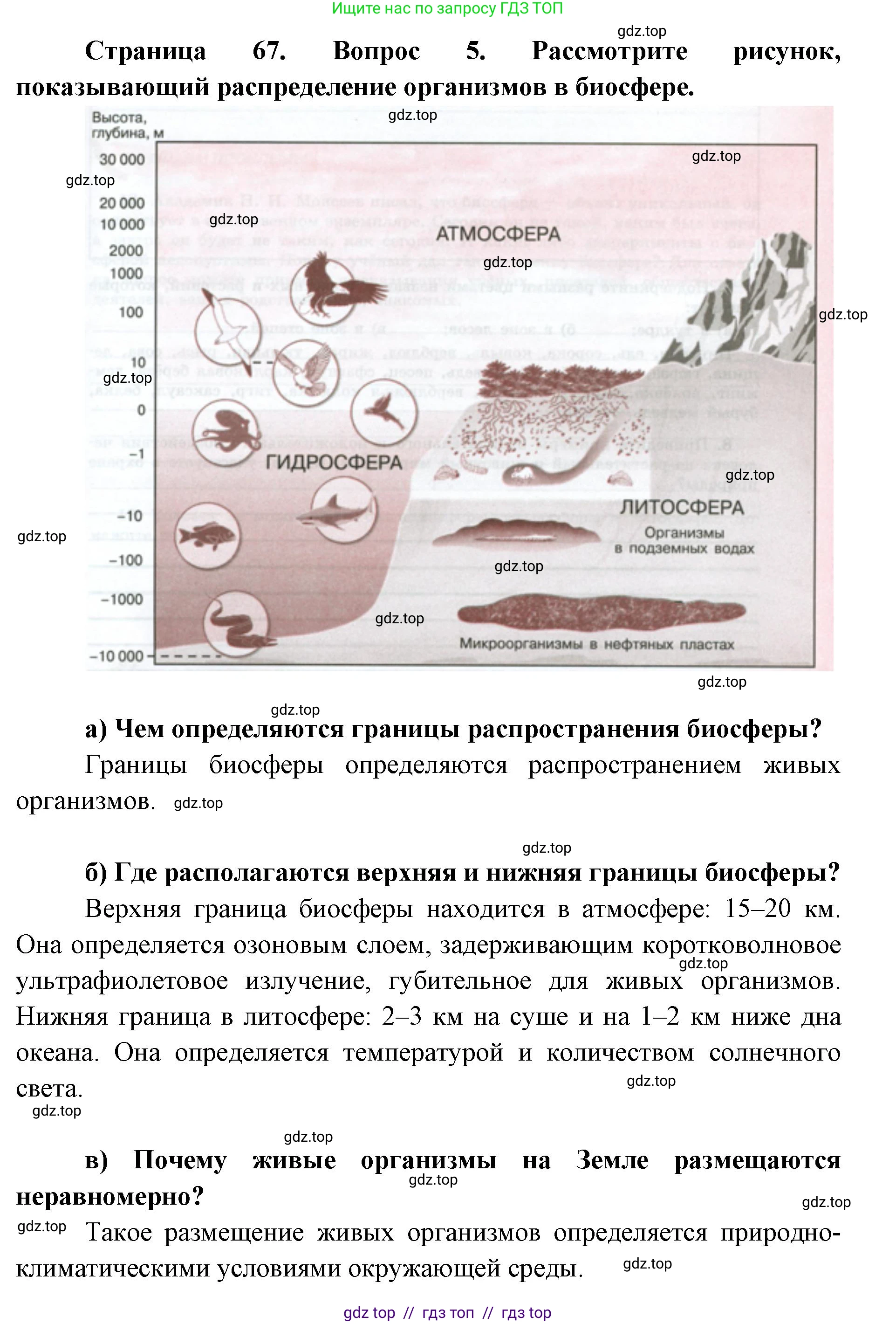 География, 5-6 класс Мой тренажёр, автор: Николина Вера Викторовна, издательство Просвещение, Москва, 2023, жёлтого цвета, страница 67, номер 5, Решение 2
