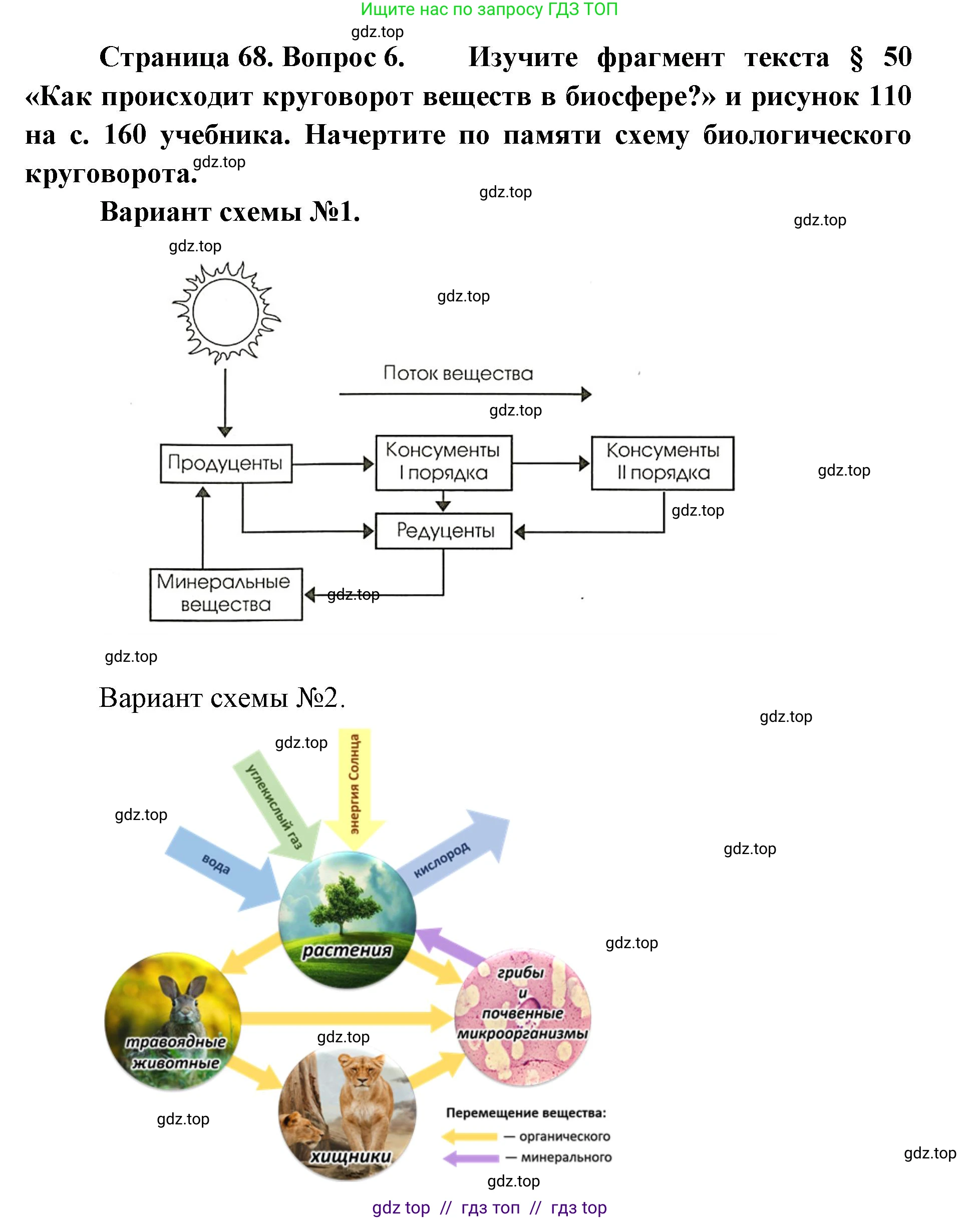 География, 5-6 класс Мой тренажёр, автор: Николина Вера Викторовна, издательство Просвещение, Москва, 2023, жёлтого цвета, страница 68, номер 6, Решение 2