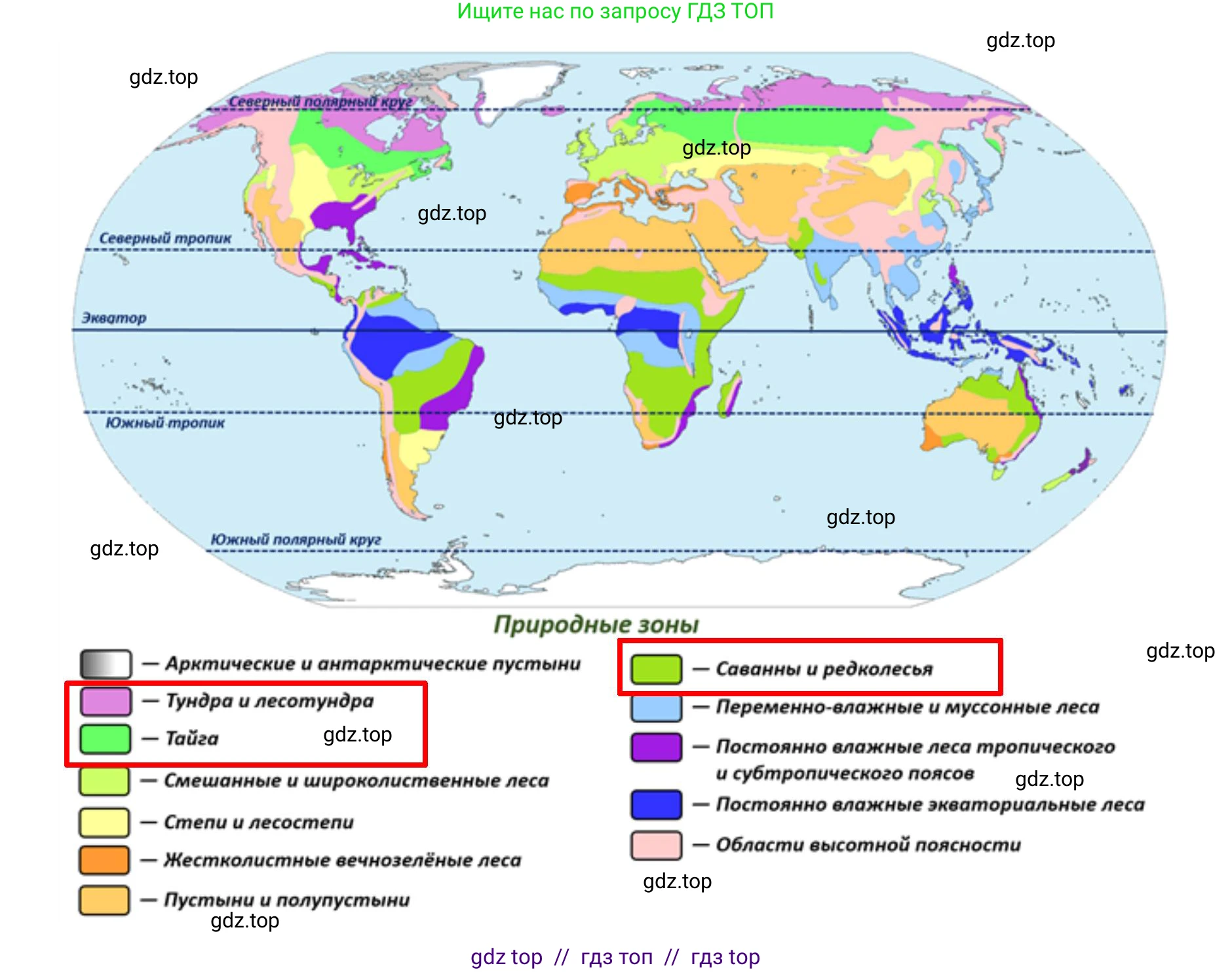 География, 5-6 класс Мой тренажёр, автор: Николина Вера Викторовна, издательство Просвещение, Москва, 2023, жёлтого цвета, страница 73, номер 10, Решение 2 (продолжение 2)