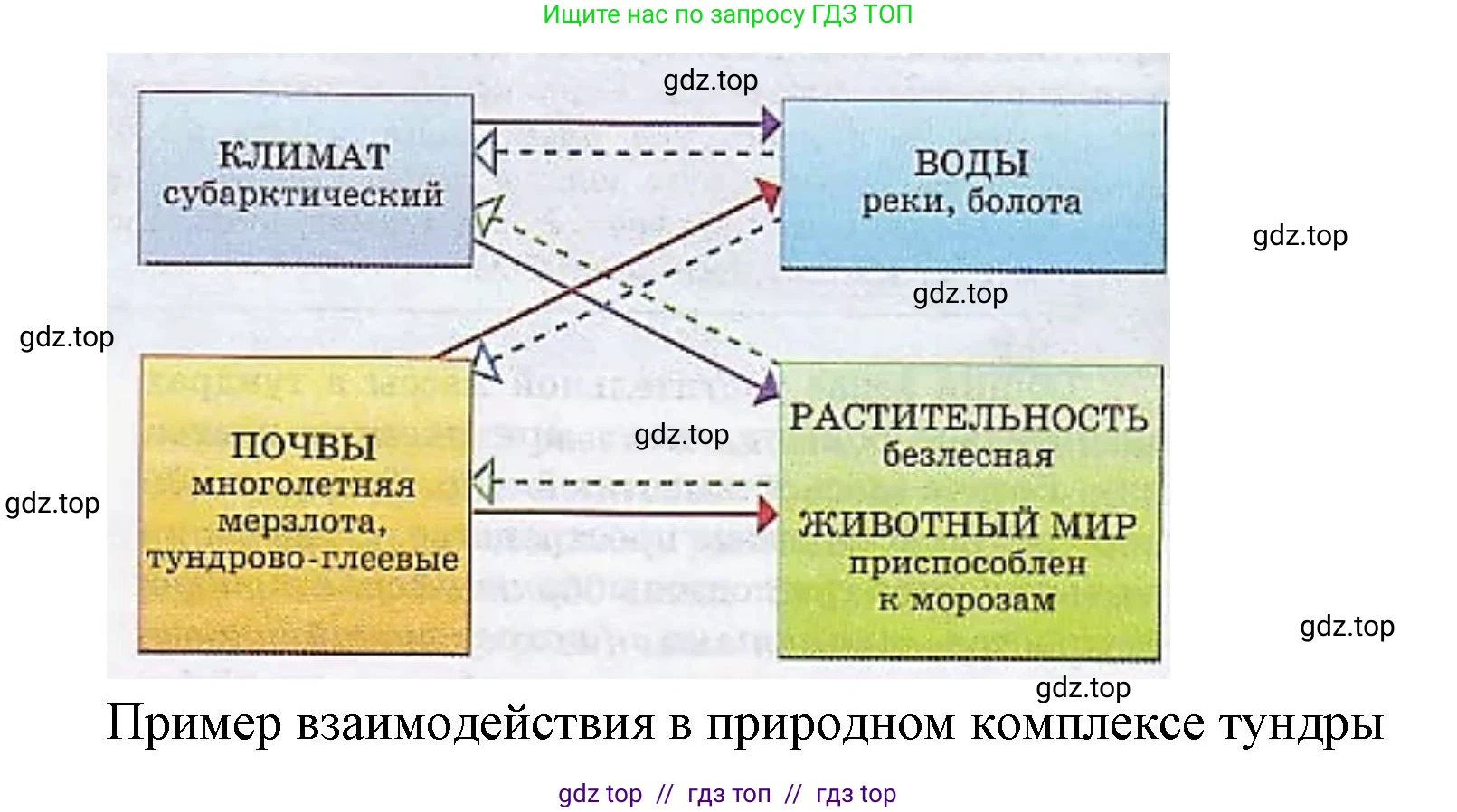 География, 5-6 класс Мой тренажёр, автор: Николина Вера Викторовна, издательство Просвещение, Москва, 2023, жёлтого цвета, страница 73, номер 11, Решение 2 (продолжение 2)