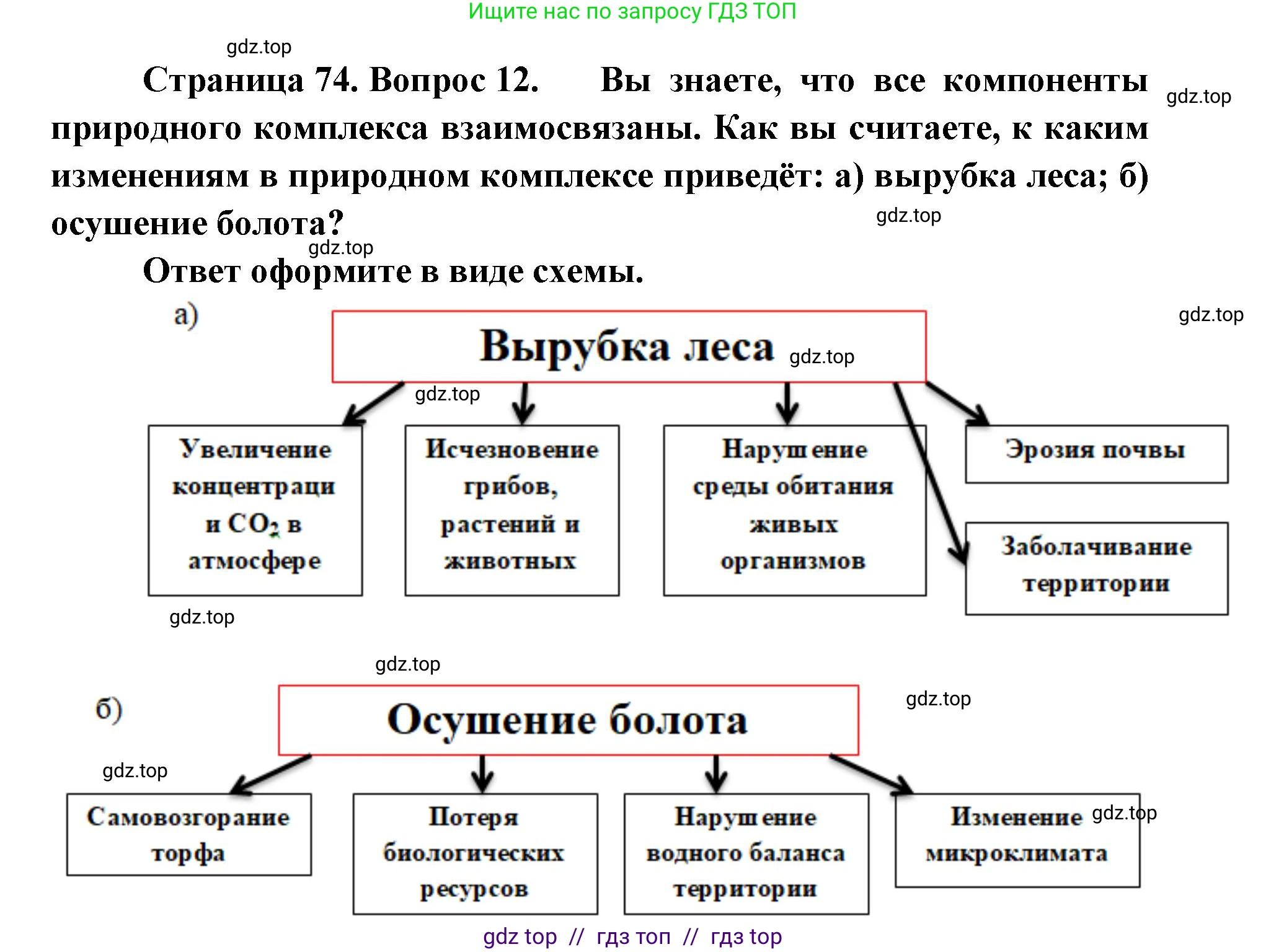 География, 5-6 класс Мой тренажёр, автор: Николина Вера Викторовна, издательство Просвещение, Москва, 2023, жёлтого цвета, страница 74, номер 12, Решение 2
