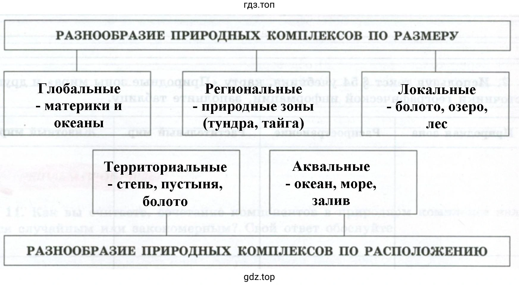 Рисунок. а изображении представлена схема классификации природных комплексов по двум ключевым признакам: размеру и расположению.