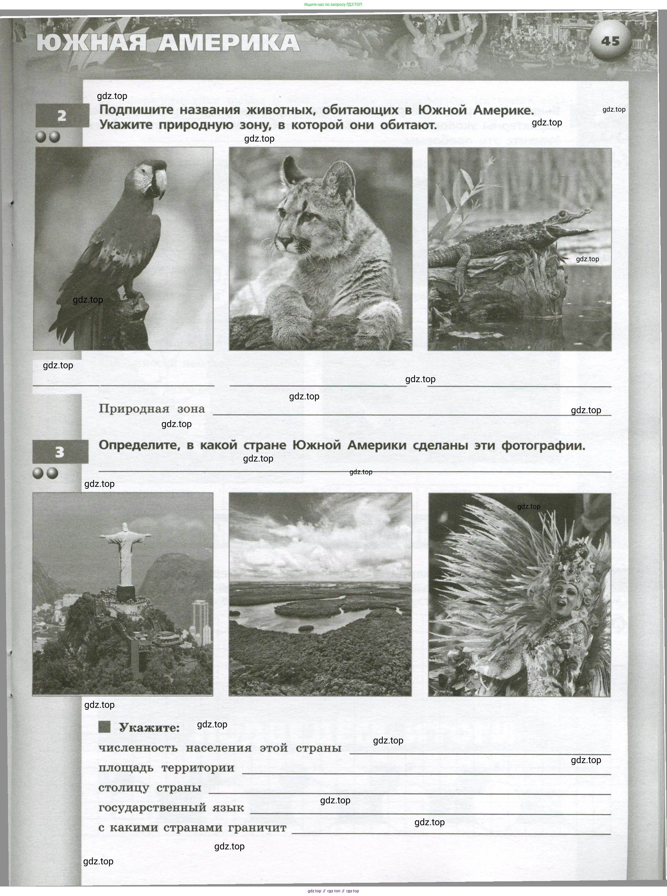 География, 7 класс Тетрадь-тренажёр, авторы: Мишняева Елена Юрьевна, Котляр О Г, Банников Сергей Валерьевич, издательство Просвещение, Москва, бирюзового цвета, страница 45