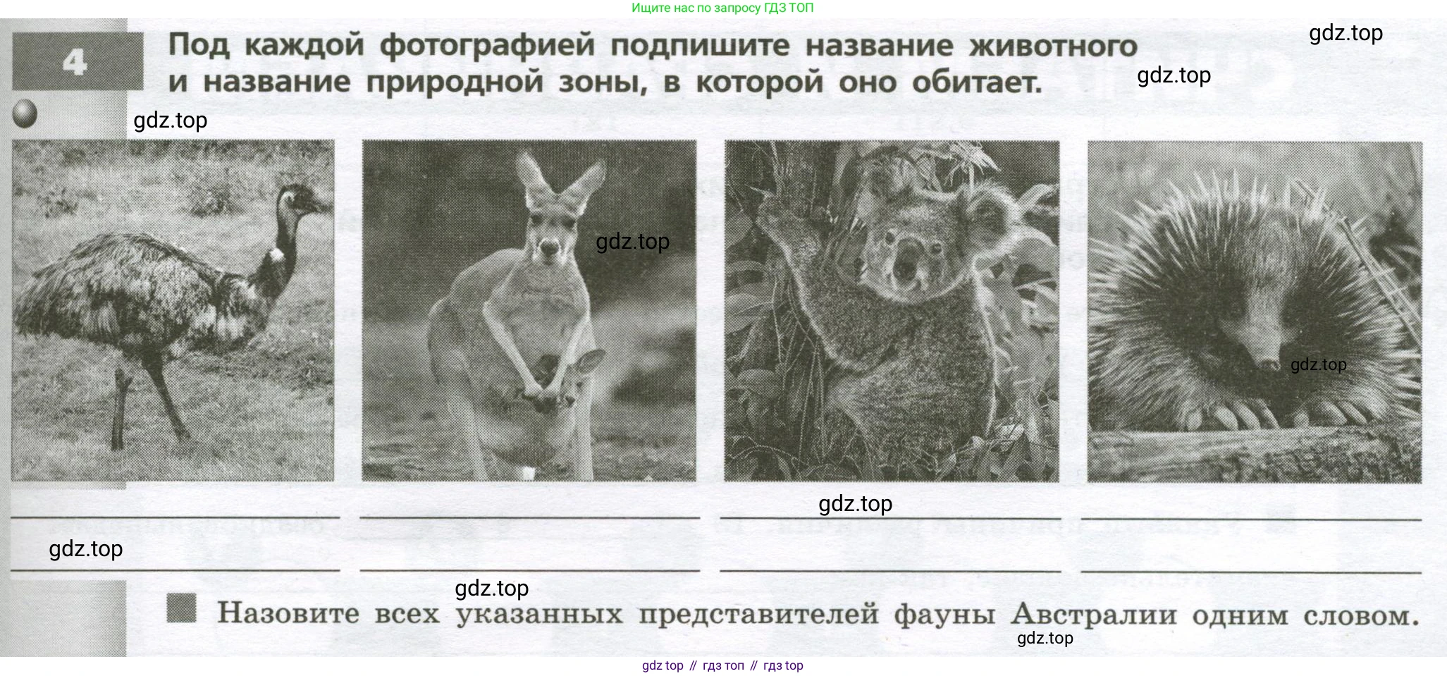 География, 7 класс Тетрадь-тренажёр, авторы: Мишняева Елена Юрьевна, Котляр О Г, Банников Сергей Валерьевич, издательство Просвещение, Москва, бирюзового цвета, страница 55, номер 4, Условие