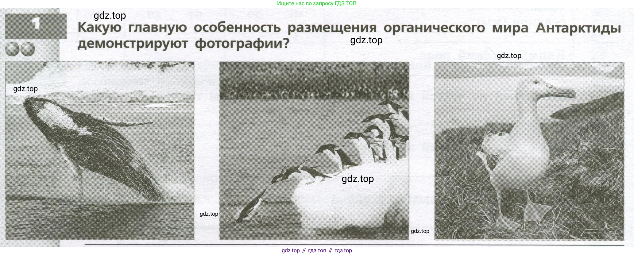 География, 7 класс Тетрадь-тренажёр, авторы: Мишняева Елена Юрьевна, Котляр О Г, Банников Сергей Валерьевич, издательство Просвещение, Москва, бирюзового цвета, страница 62, номер 1, Условие