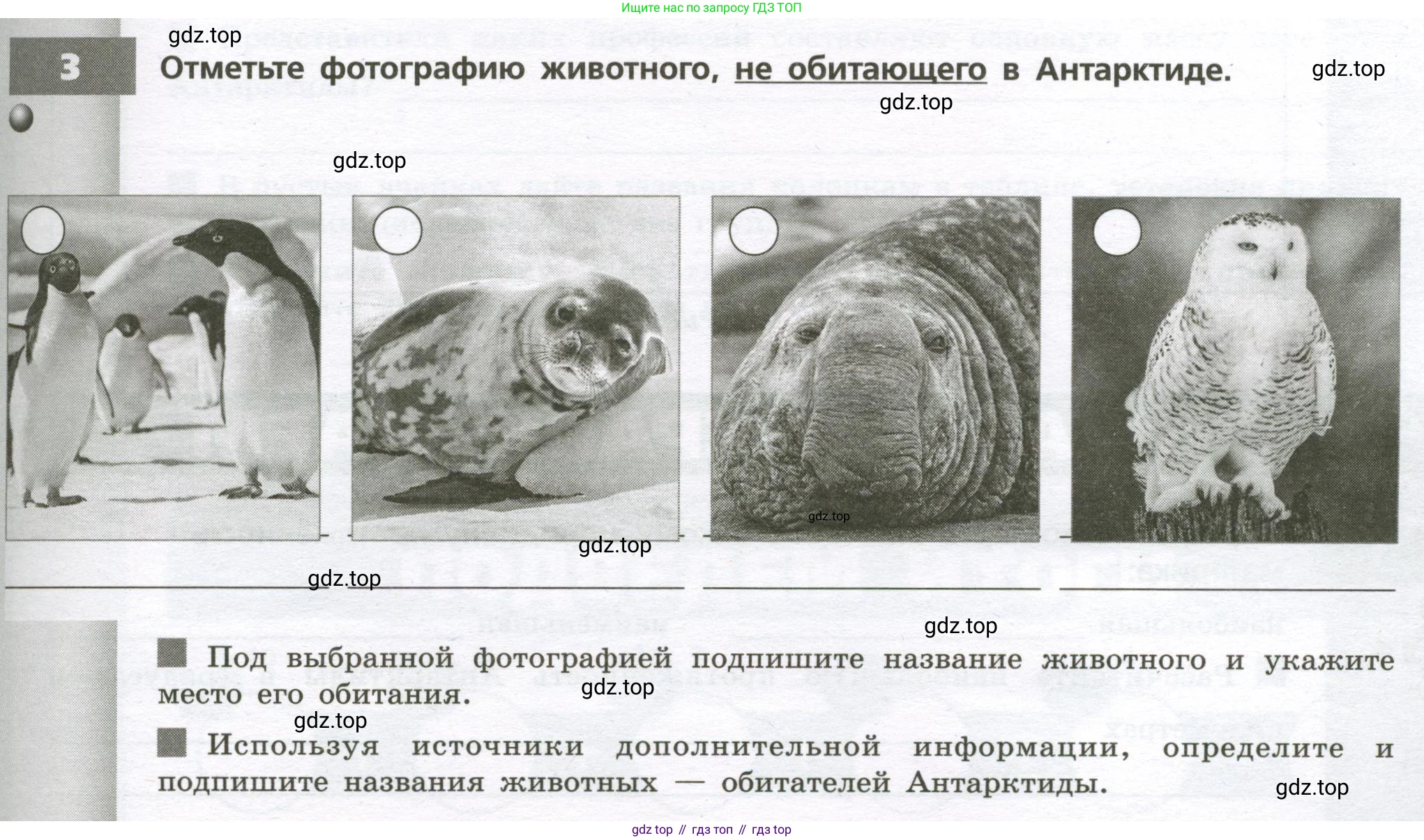 География, 7 класс Тетрадь-тренажёр, авторы: Мишняева Елена Юрьевна, Котляр О Г, Банников Сергей Валерьевич, издательство Просвещение, Москва, бирюзового цвета, страница 63, номер 3, Условие
