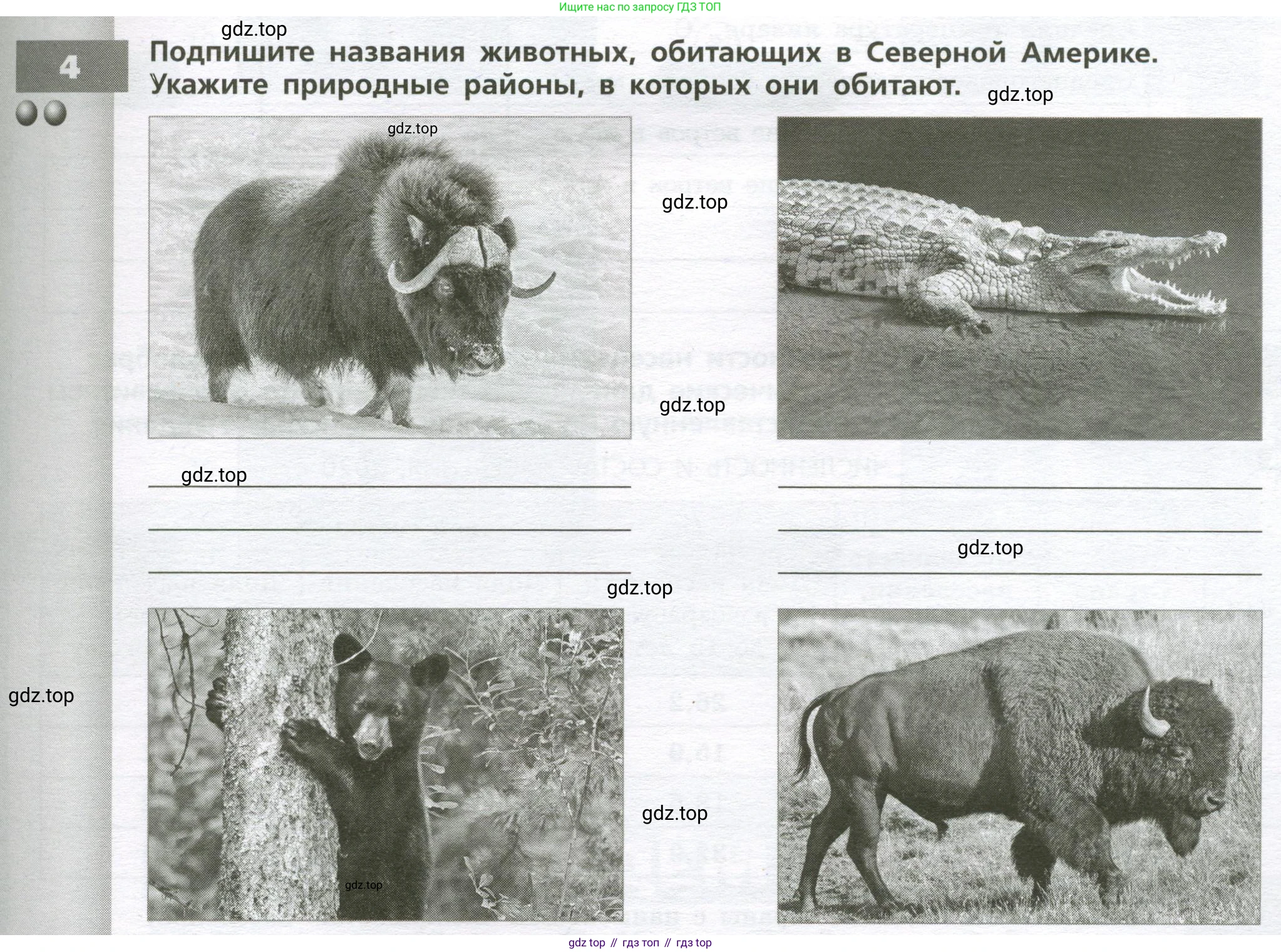География, 7 класс Тетрадь-тренажёр, авторы: Мишняева Елена Юрьевна, Котляр О Г, Банников Сергей Валерьевич, издательство Просвещение, Москва, бирюзового цвета, страница 75, номер 4, Условие