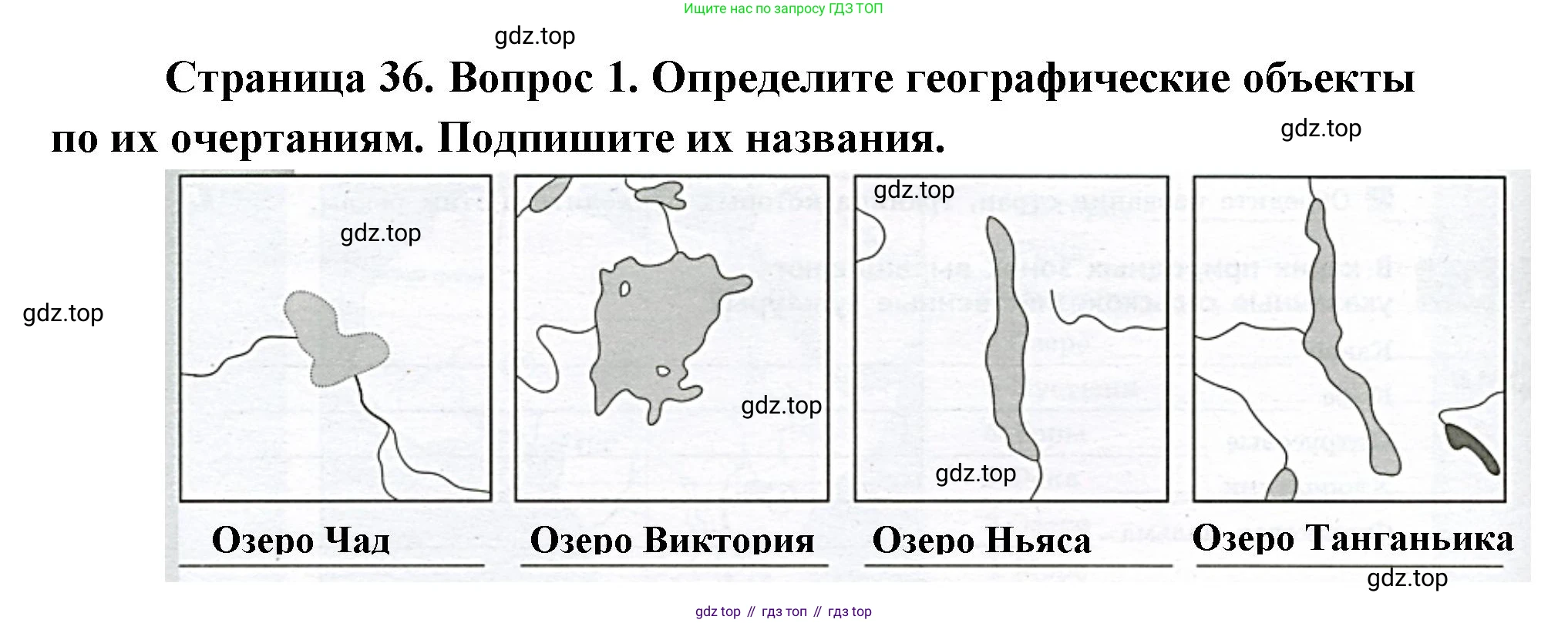География, 7 класс Тетрадь-тренажёр, авторы: Мишняева Елена Юрьевна, Котляр О Г, Банников Сергей Валерьевич, издательство Просвещение, Москва, бирюзового цвета, страница 36, номер 1, Решение