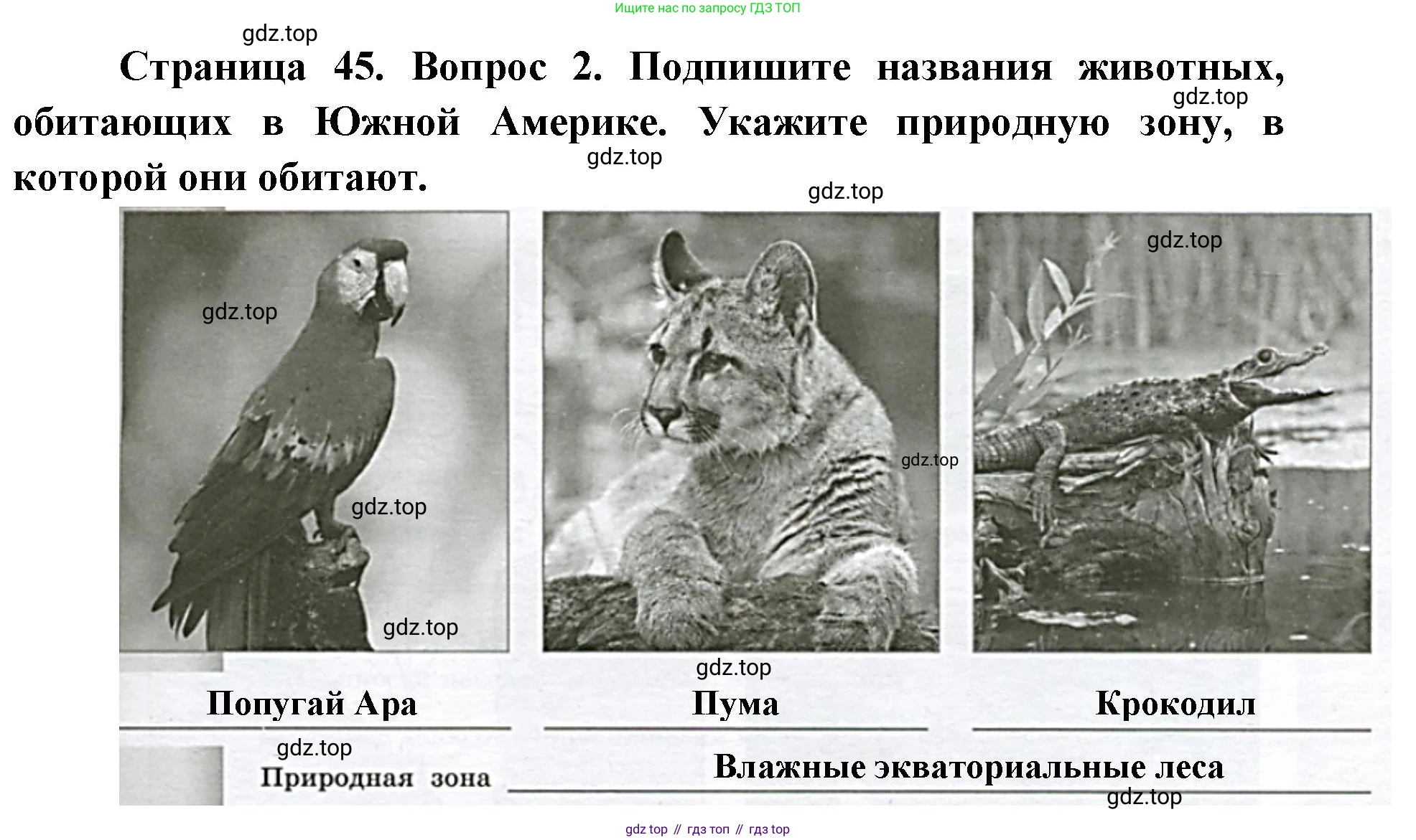 География, 7 класс Тетрадь-тренажёр, авторы: Мишняева Елена Юрьевна, Котляр О Г, Банников Сергей Валерьевич, издательство Просвещение, Москва, бирюзового цвета, страница 45, номер 2, Решение