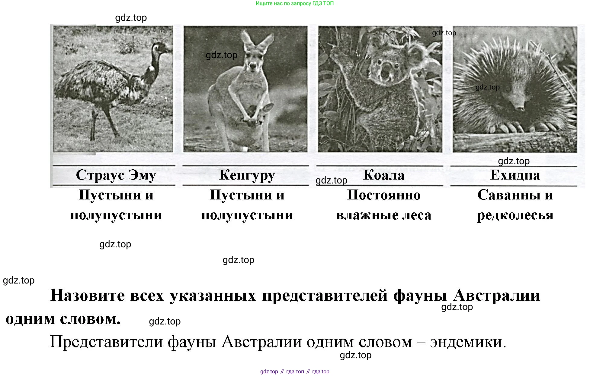 География, 7 класс Тетрадь-тренажёр, авторы: Мишняева Елена Юрьевна, Котляр О Г, Банников Сергей Валерьевич, издательство Просвещение, Москва, бирюзового цвета, страница 55, номер 4, Решение (продолжение 2)