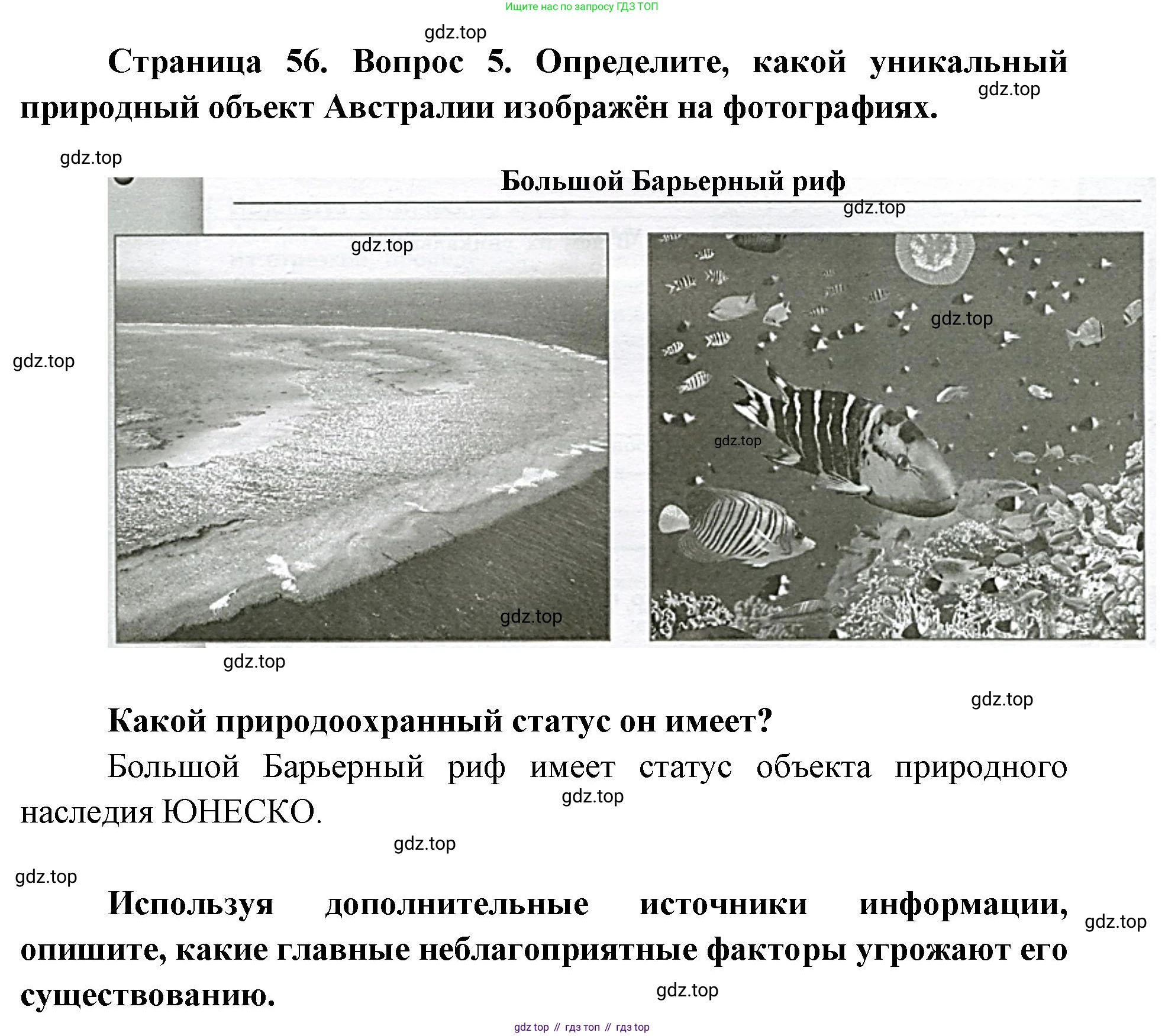 География, 7 класс Тетрадь-тренажёр, авторы: Мишняева Елена Юрьевна, Котляр О Г, Банников Сергей Валерьевич, издательство Просвещение, Москва, бирюзового цвета, страница 56, номер 5, Решение