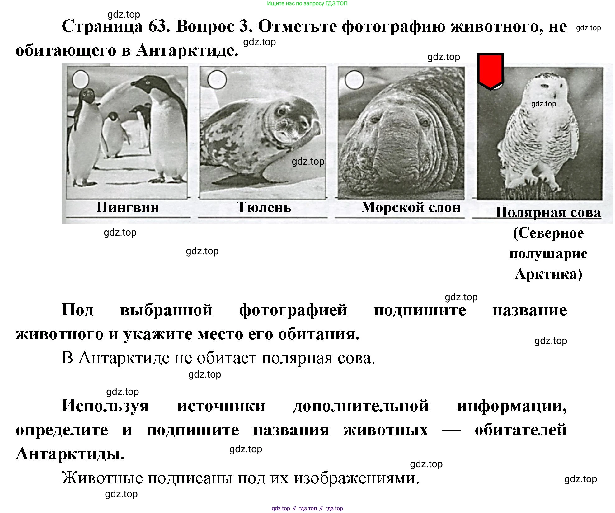 География, 7 класс Тетрадь-тренажёр, авторы: Мишняева Елена Юрьевна, Котляр О Г, Банников Сергей Валерьевич, издательство Просвещение, Москва, бирюзового цвета, страница 63, номер 3, Решение