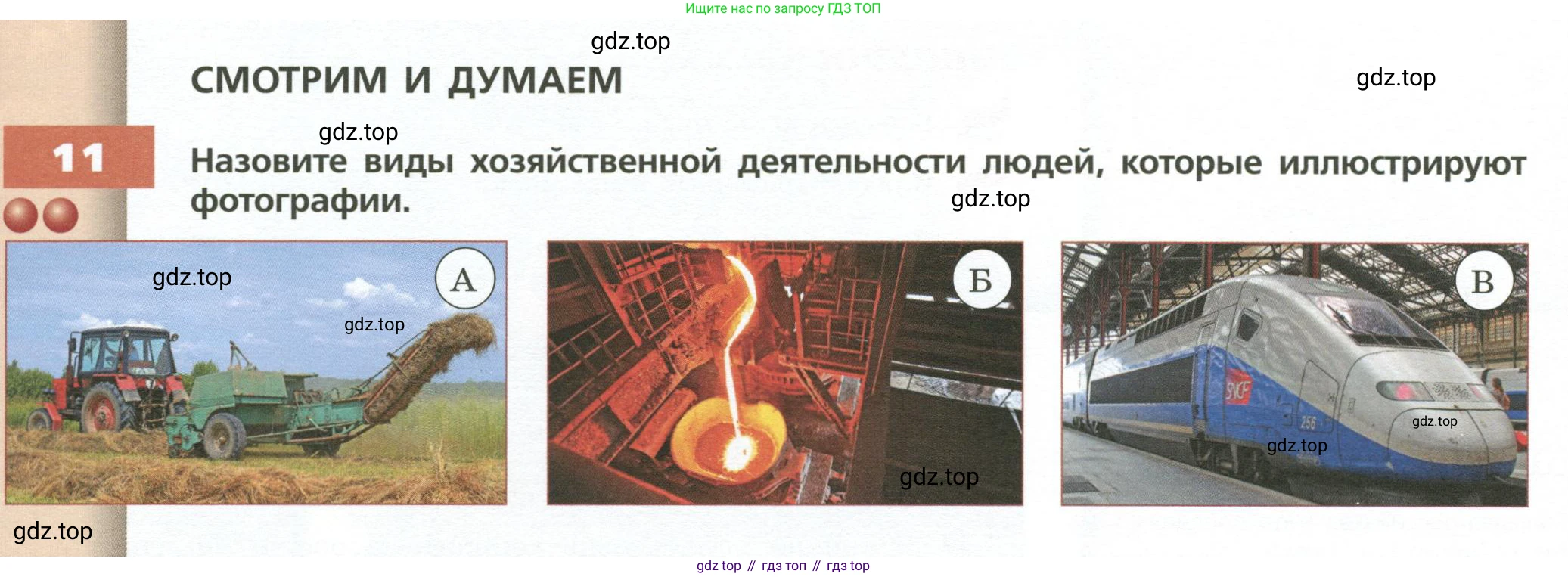 ГДЗ География, 7 класс Учебник, авторы: Кузнецов Александр Павлович, Савельева Людмила Евгеньевна, Дронов Виктор Павлович, издательство Просвещение, Москва, 2023, бирюзового цвета, страница 81, номер 11, Условие