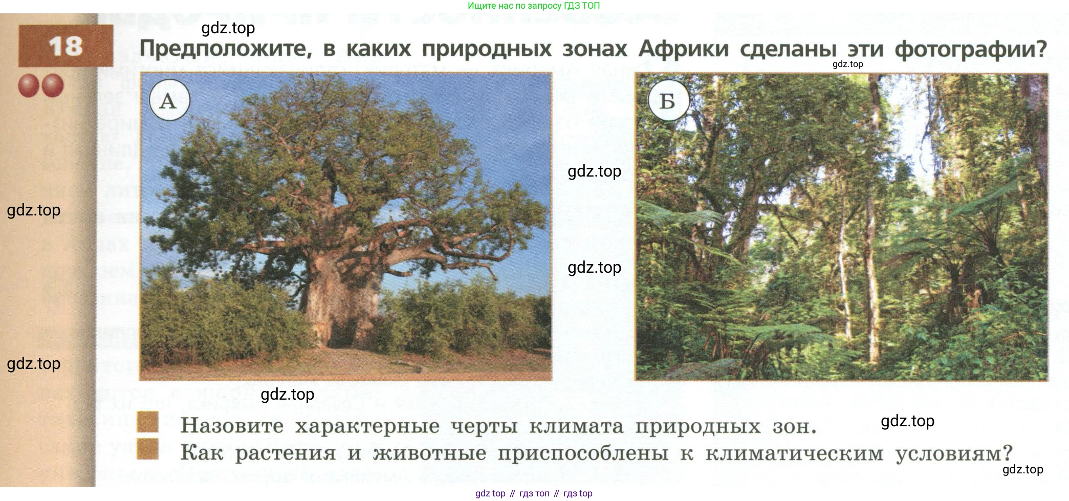 ГДЗ География, 7 класс Учебник, авторы: Кузнецов Александр Павлович, Савельева Людмила Евгеньевна, Дронов Виктор Павлович, издательство Просвещение, Москва, 2023, бирюзового цвета, страница 103, номер 18, Условие