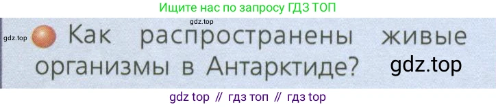 ГДЗ География, 7 класс Учебник, авторы: Кузнецов Александр Павлович, Савельева Людмила Евгеньевна, Дронов Виктор Павлович, издательство Просвещение, Москва, 2023, бирюзового цвета, страница 141, номер 4, Условие