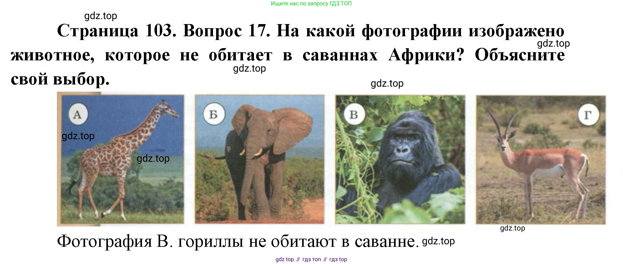 ГДЗ География, 7 класс Учебник, авторы: Кузнецов Александр Павлович, Савельева Людмила Евгеньевна, Дронов Виктор Павлович, издательство Просвещение, Москва, 2023, бирюзового цвета, страница 103, номер 17, Решение