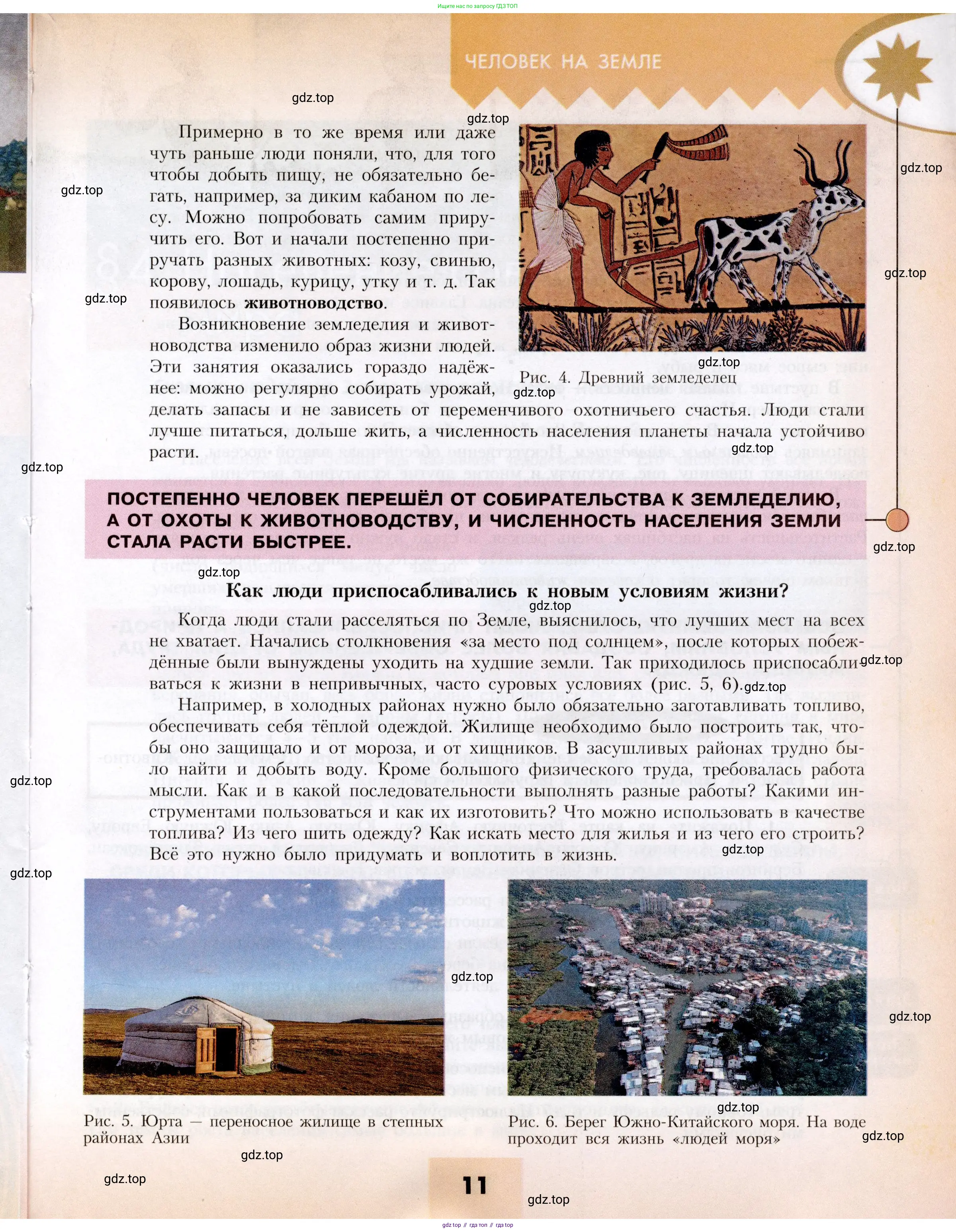 География, 7 класс Учебник, авторы: Алексеев Александр Иванович, Николина Вера Викторовна, Липкина Елена Карловна, Болысов Сергей Иванович, Ачкасова Татьяна Анатольевна, Кузнецова Галина Юрьевна, издательство Просвещение, Москва, 2023, жёлтого цвета, страница 11