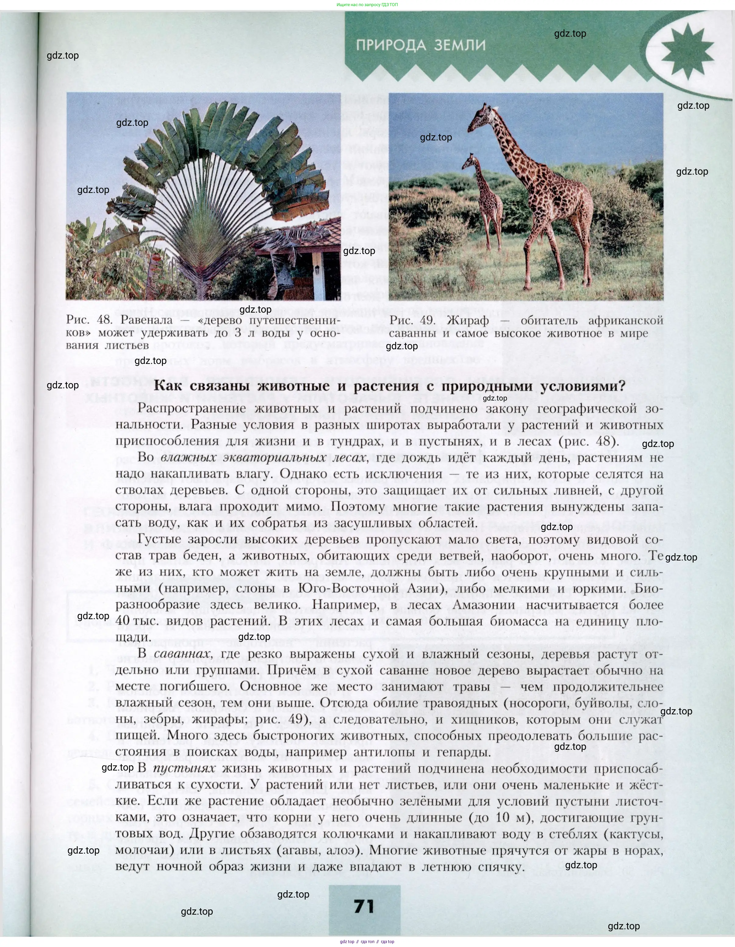 География, 7 класс Учебник, авторы: Алексеев Александр Иванович, Николина Вера Викторовна, Липкина Елена Карловна, Болысов Сергей Иванович, Ачкасова Татьяна Анатольевна, Кузнецова Галина Юрьевна, издательство Просвещение, Москва, 2023, жёлтого цвета, страница 71