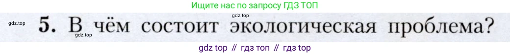 География, 7 класс Учебник, авторы: Алексеев Александр Иванович, Николина Вера Викторовна, Липкина Елена Карловна, Болысов Сергей Иванович, Ачкасова Татьяна Анатольевна, Кузнецова Галина Юрьевна, издательство Просвещение, Москва, 2023, жёлтого цвета, страница 239, номер 5, Условие 2019-2022