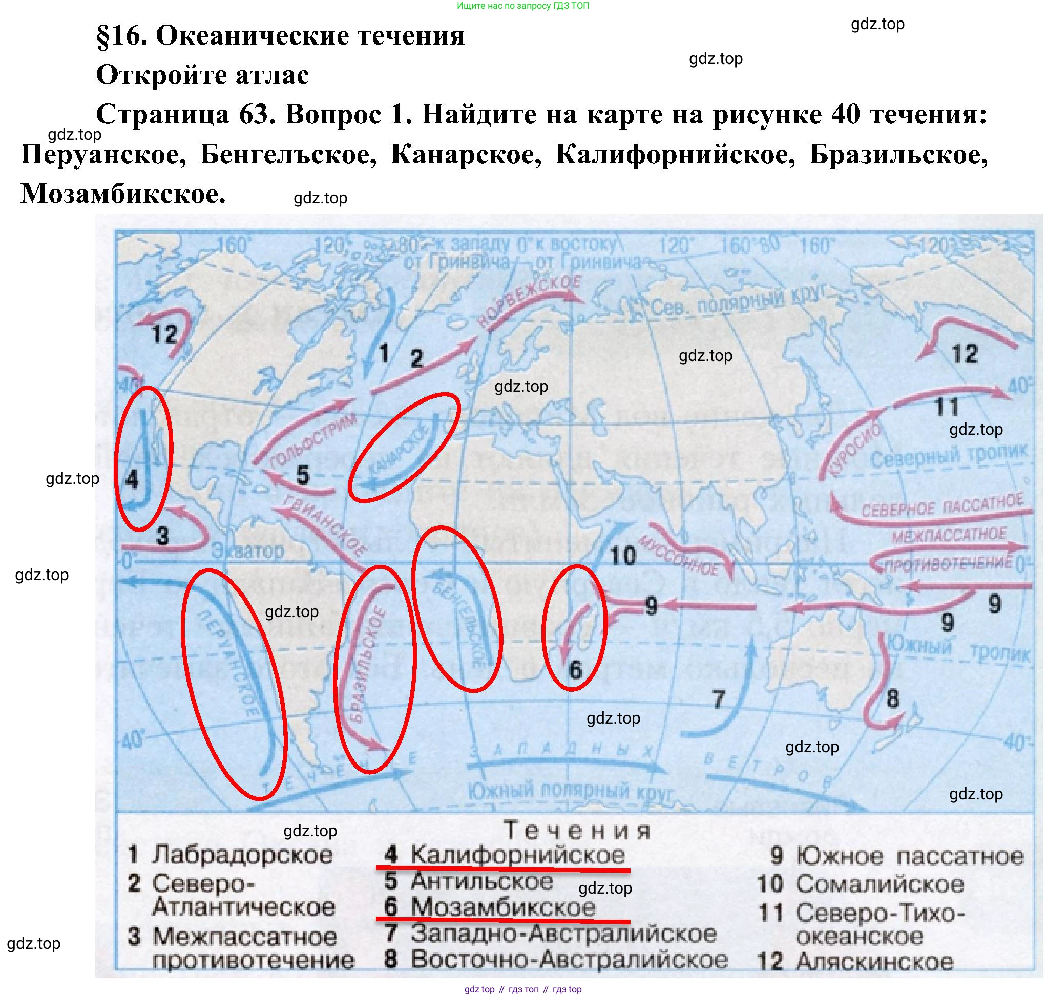 География, 7 класс Учебник, авторы: Алексеев Александр Иванович, Николина Вера Викторовна, Липкина Елена Карловна, Болысов Сергей Иванович, Ачкасова Татьяна Анатольевна, Кузнецова Галина Юрьевна, издательство Просвещение, Москва, 2023, жёлтого цвета, страница 63, номер 1, Решение 219-2022