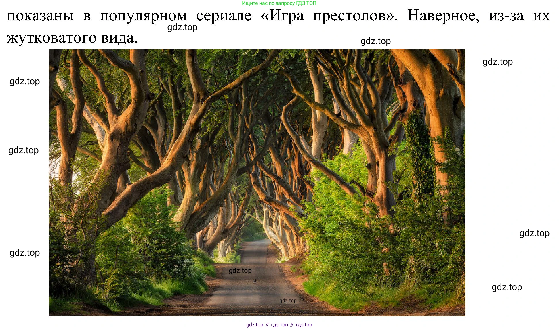 География, 7 класс Учебник, авторы: Алексеев Александр Иванович, Николина Вера Викторовна, Липкина Елена Карловна, Болысов Сергей Иванович, Ачкасова Татьяна Анатольевна, Кузнецова Галина Юрьевна, издательство Просвещение, Москва, 2023, жёлтого цвета, страница 78, Решение 219-2022 (продолжение 6)