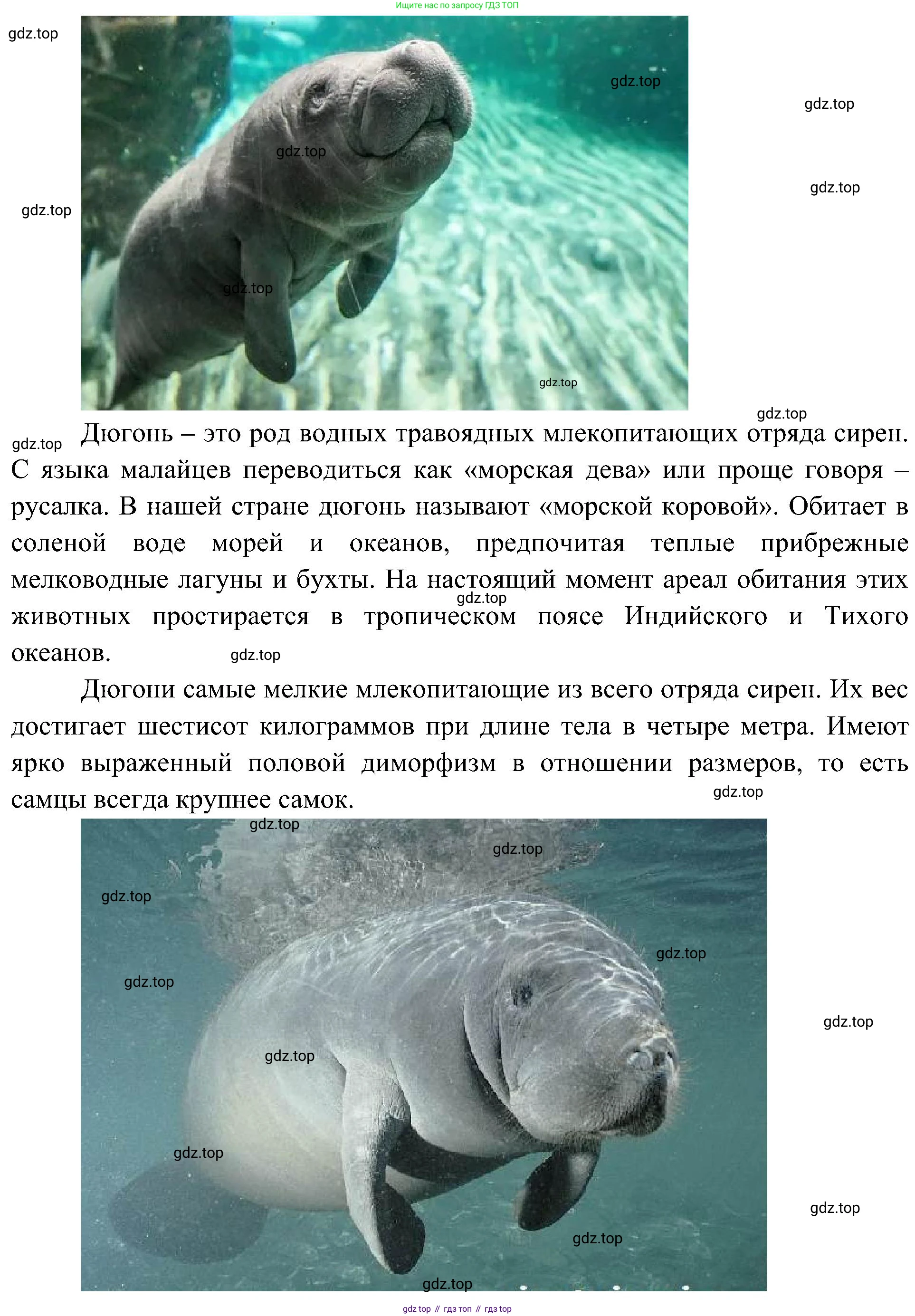 География, 7 класс Учебник, авторы: Алексеев Александр Иванович, Николина Вера Викторовна, Липкина Елена Карловна, Болысов Сергей Иванович, Ачкасова Татьяна Анатольевна, Кузнецова Галина Юрьевна, издательство Просвещение, Москва, 2023, жёлтого цвета, страница 89, номер 8, Решение 219-2022 (продолжение 2)