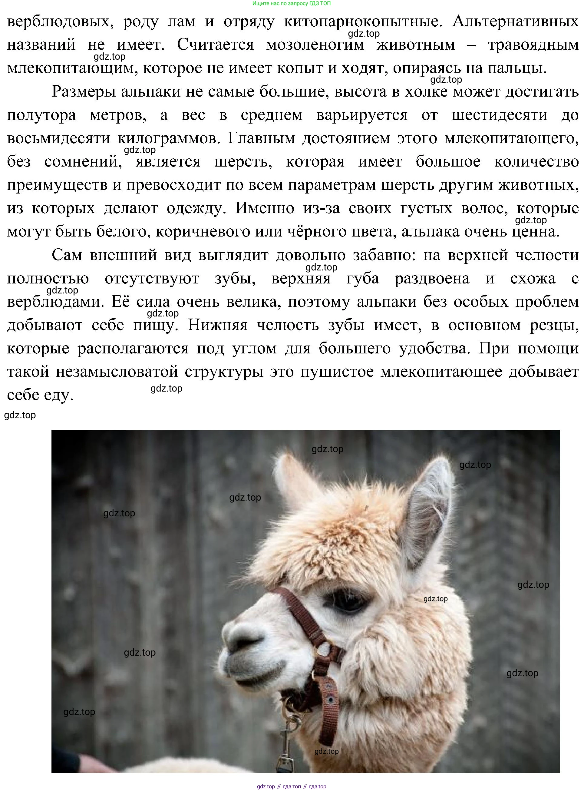 География, 7 класс Учебник, авторы: Алексеев Александр Иванович, Николина Вера Викторовна, Липкина Елена Карловна, Болысов Сергей Иванович, Ачкасова Татьяна Анатольевна, Кузнецова Галина Юрьевна, издательство Просвещение, Москва, 2023, жёлтого цвета, страница 153, номер 3, Решение 219-2022 (продолжение 2)